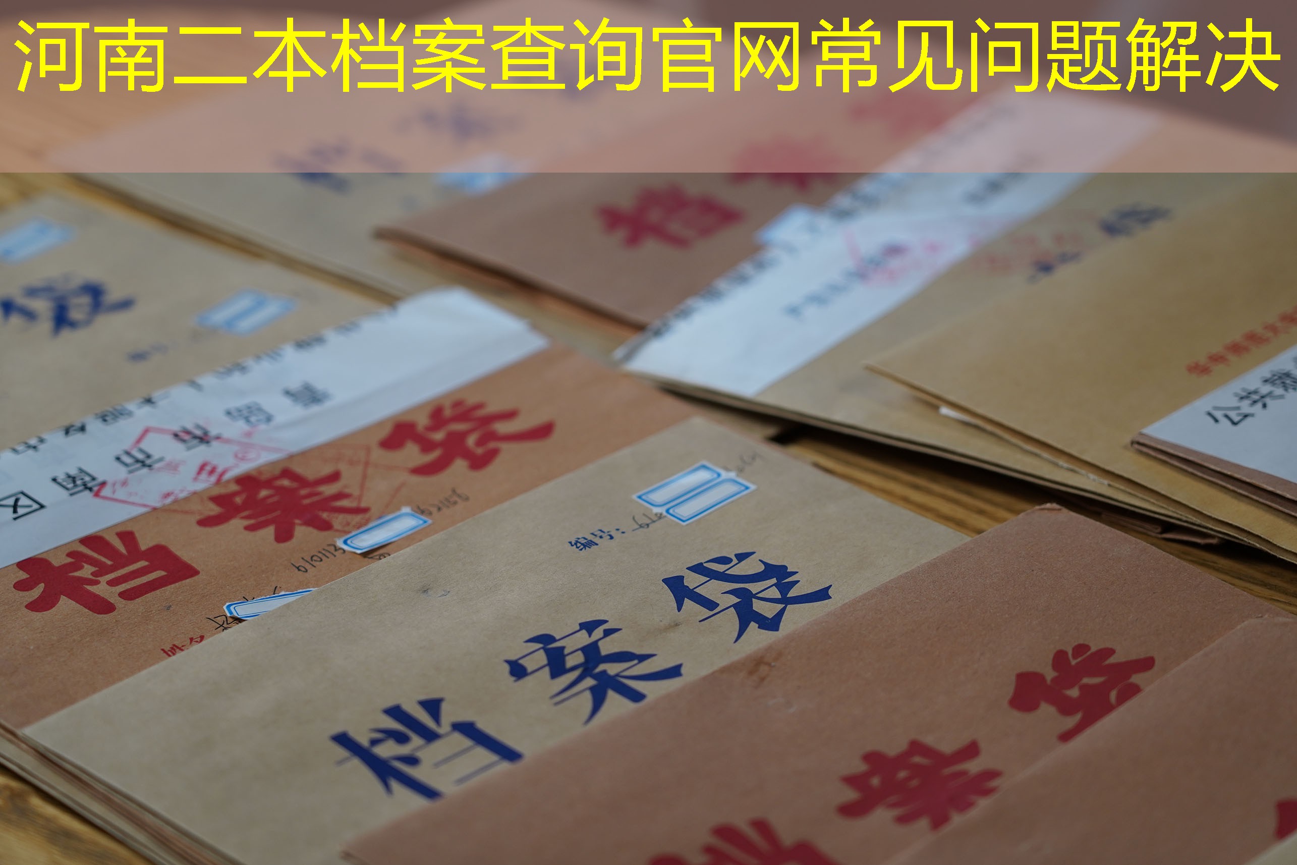 档案查询