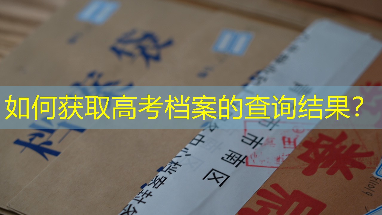 档案查询