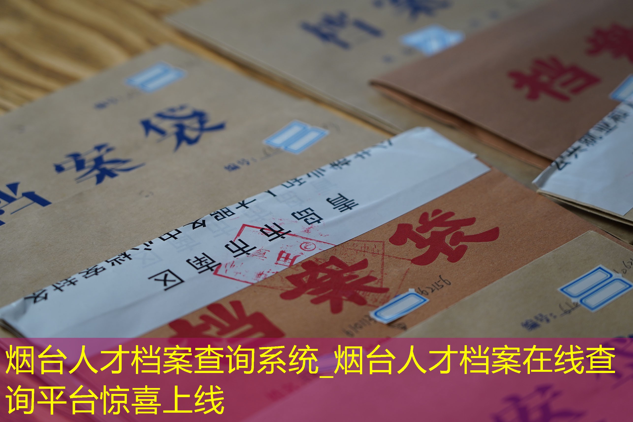 档案查询