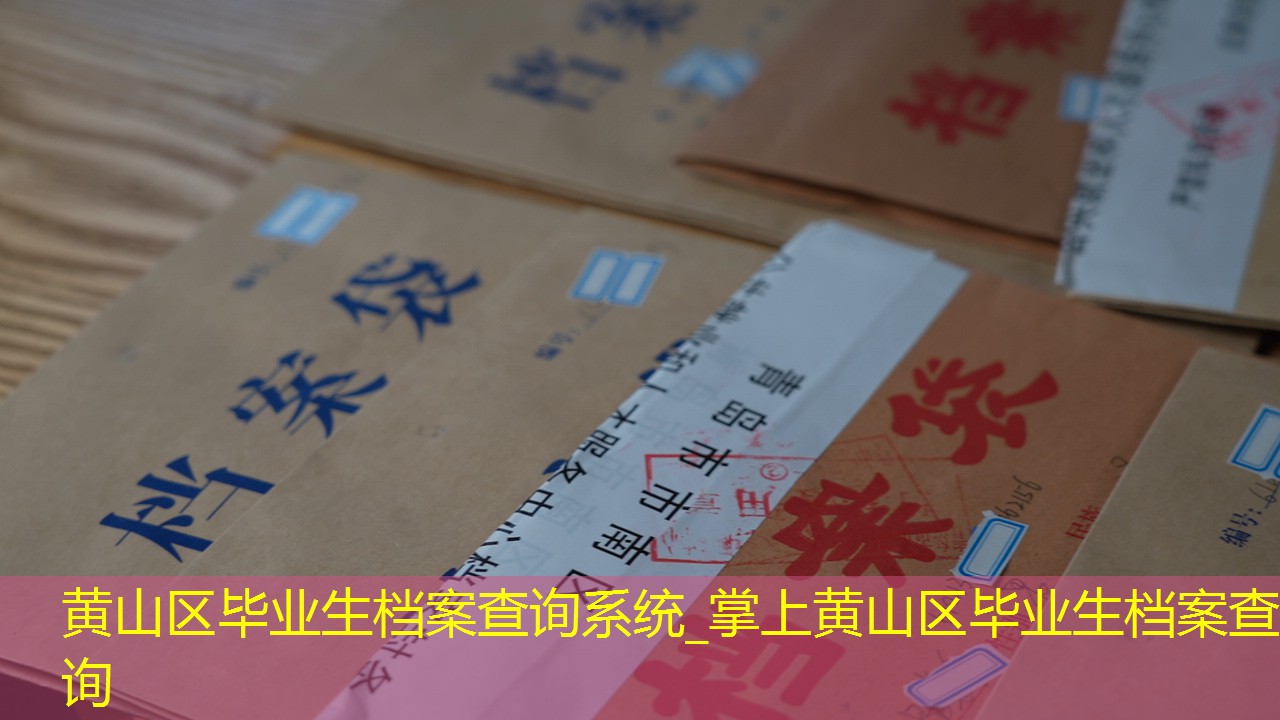 档案查询