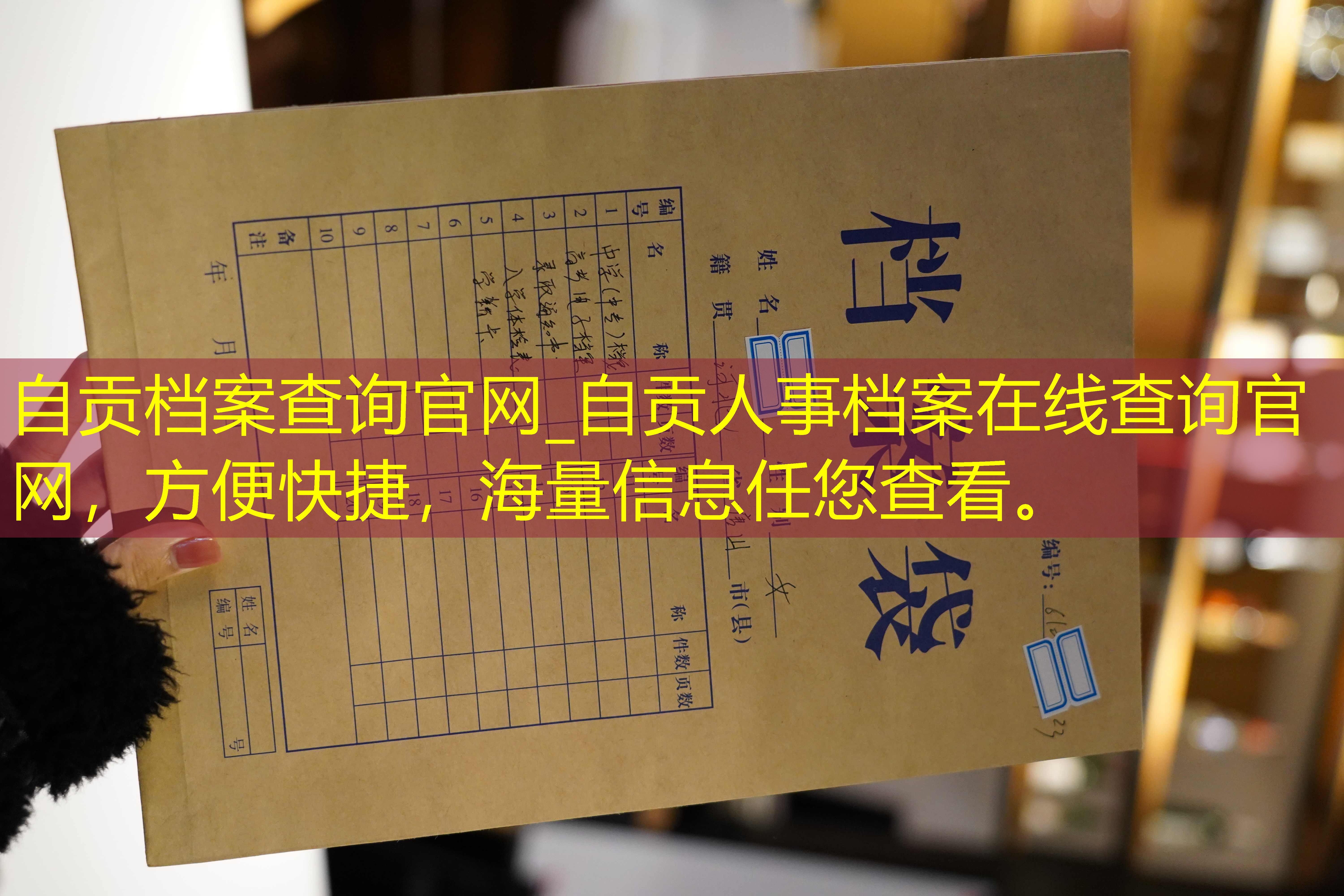 档案查询