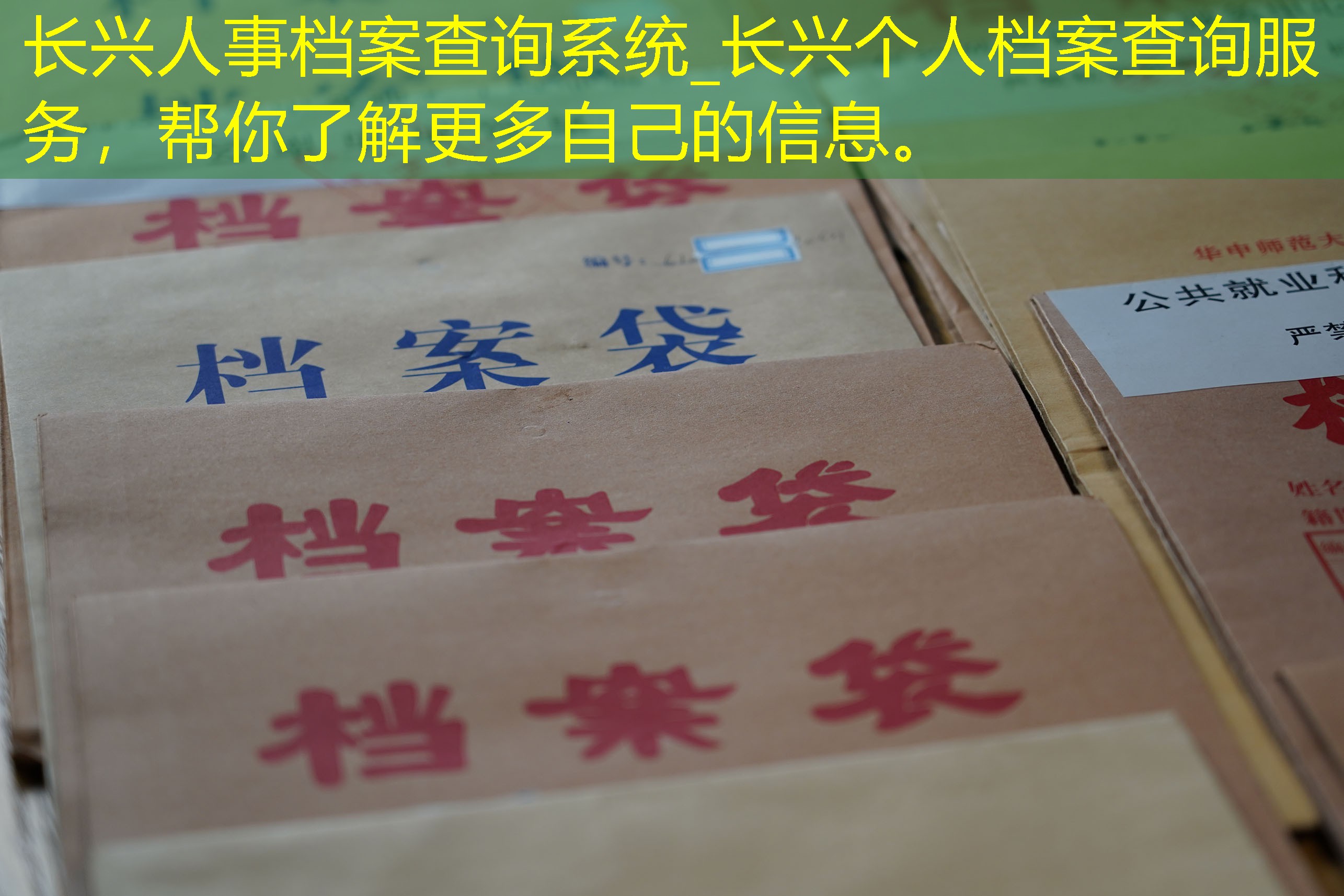 档案查询