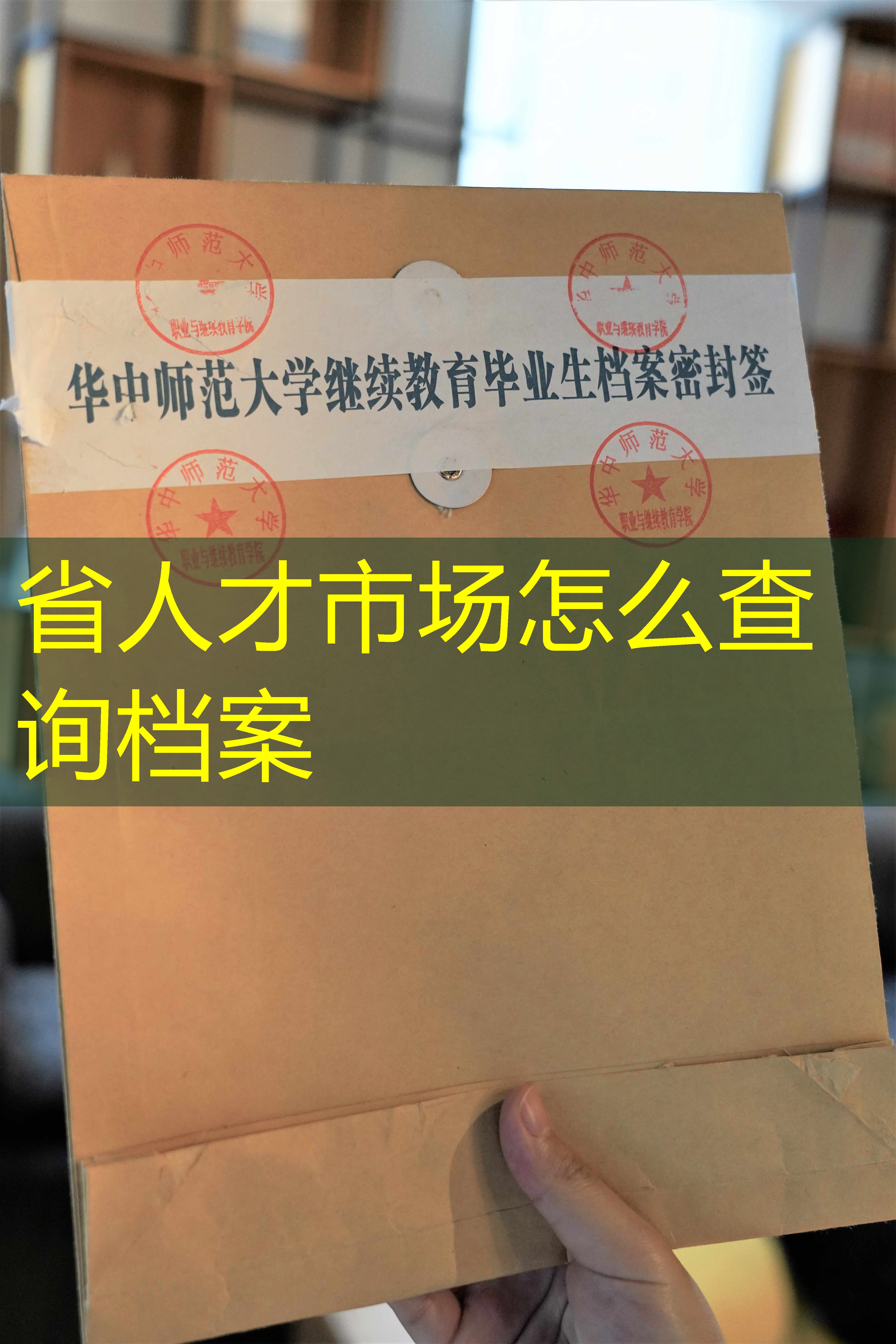 档案查询