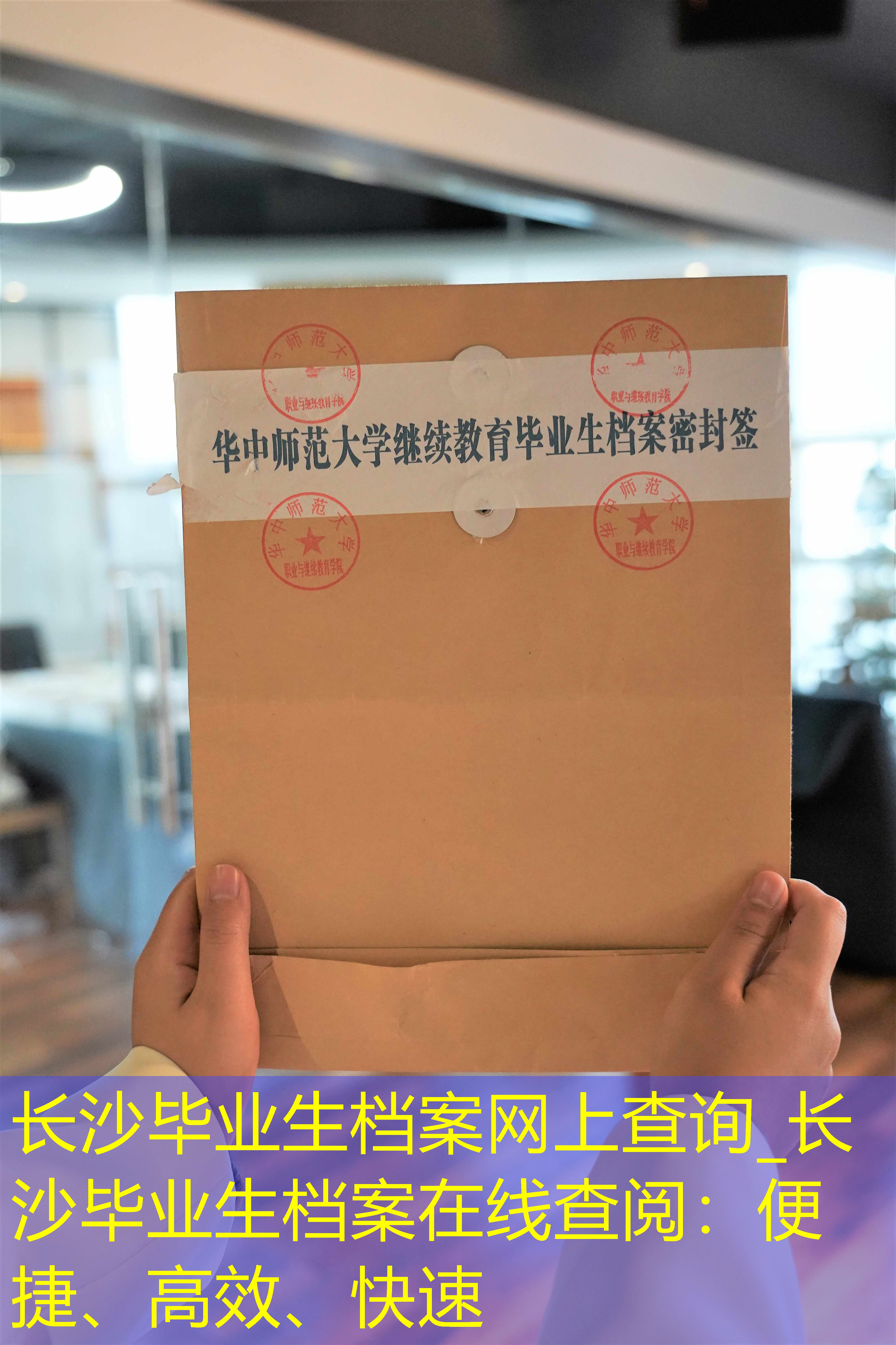 档案查询