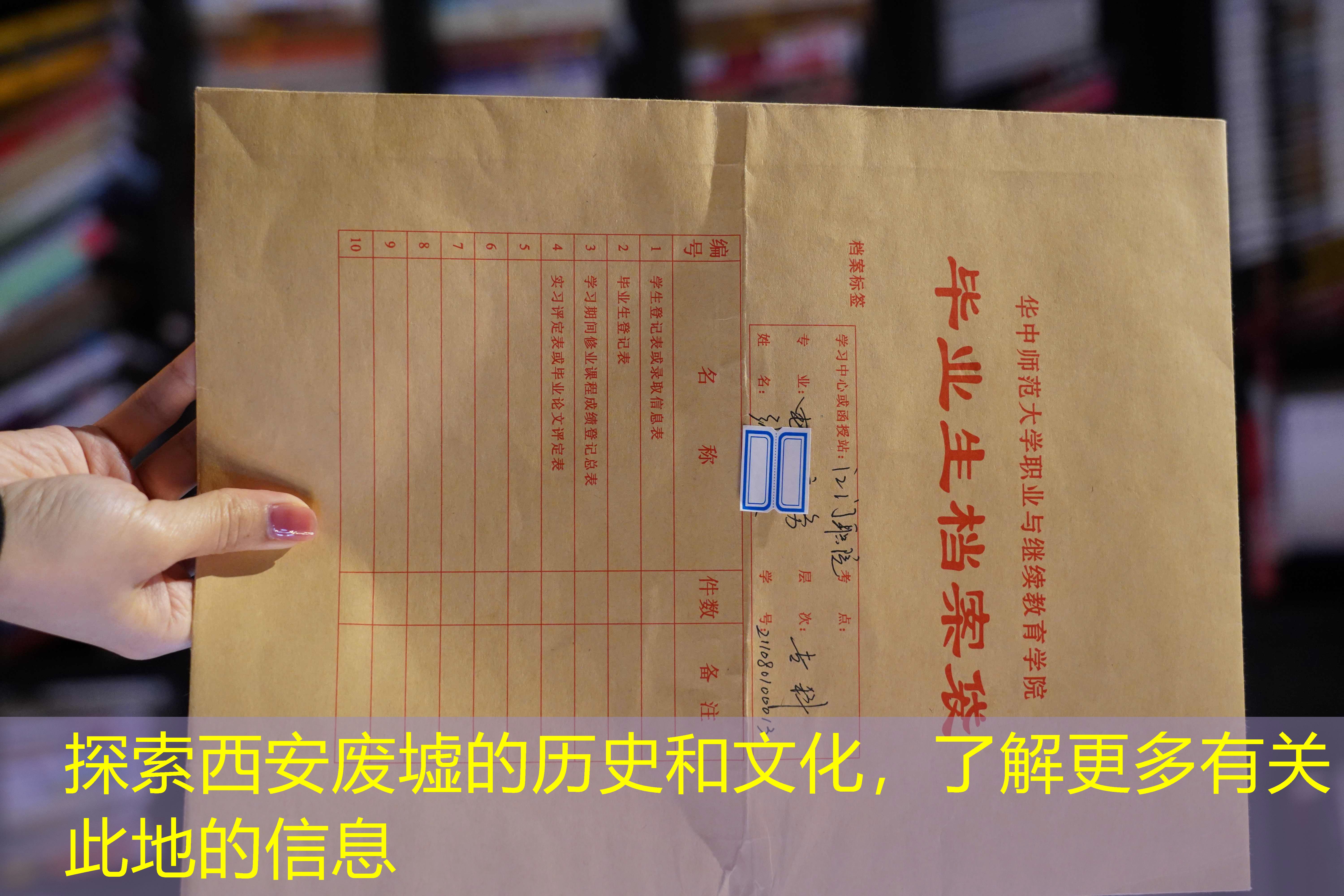 档案查询