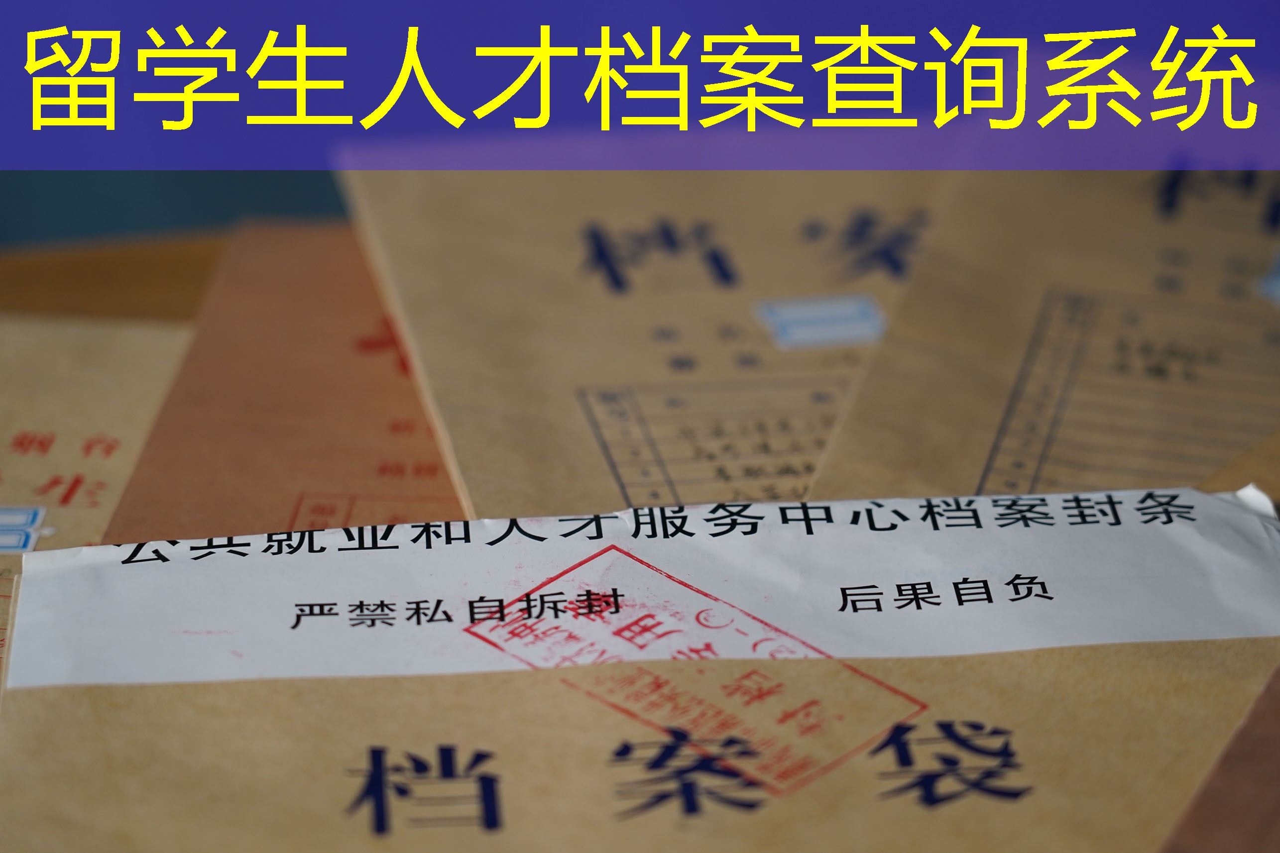 档案查询