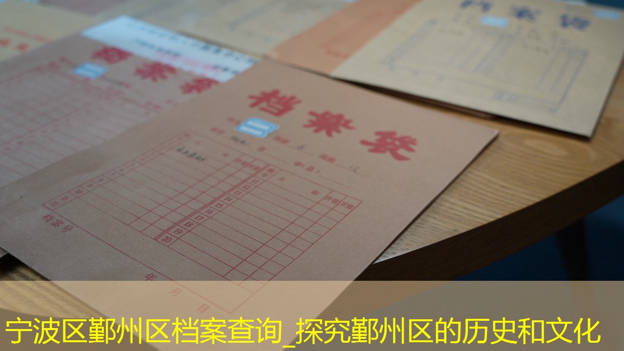 档案查询