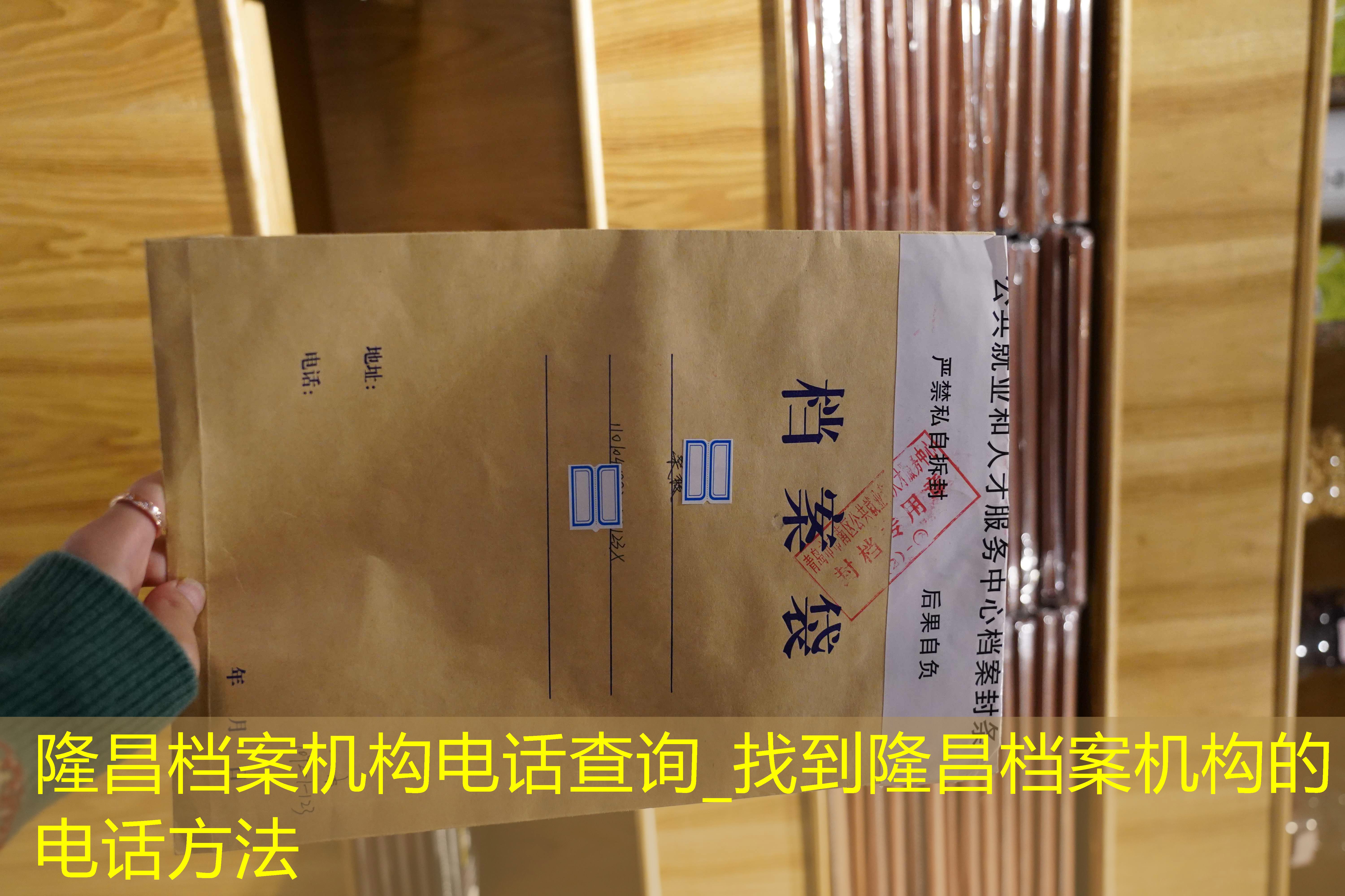 档案查询