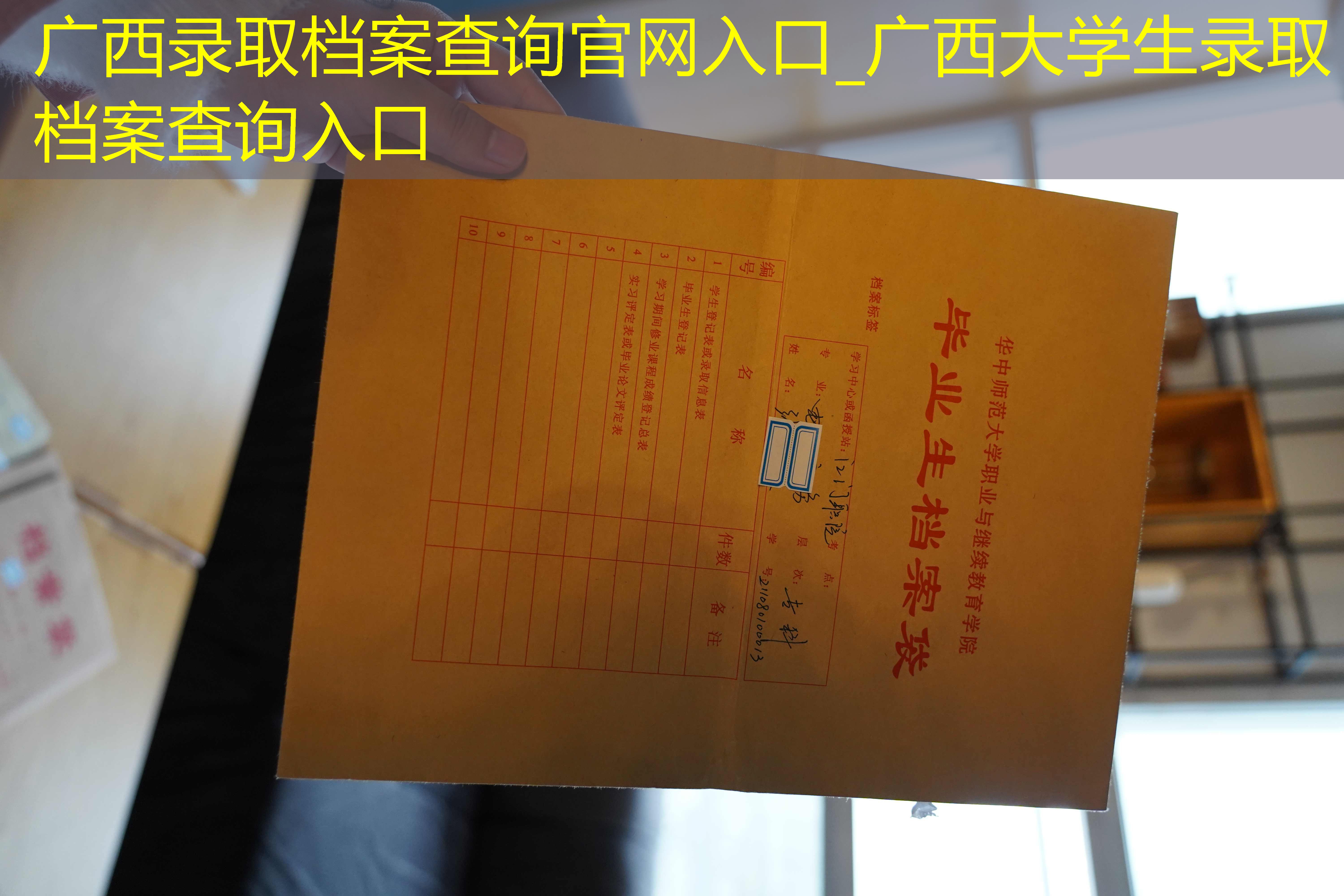 档案查询