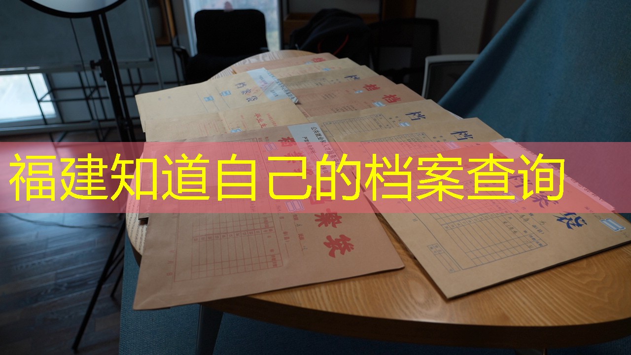 档案查询