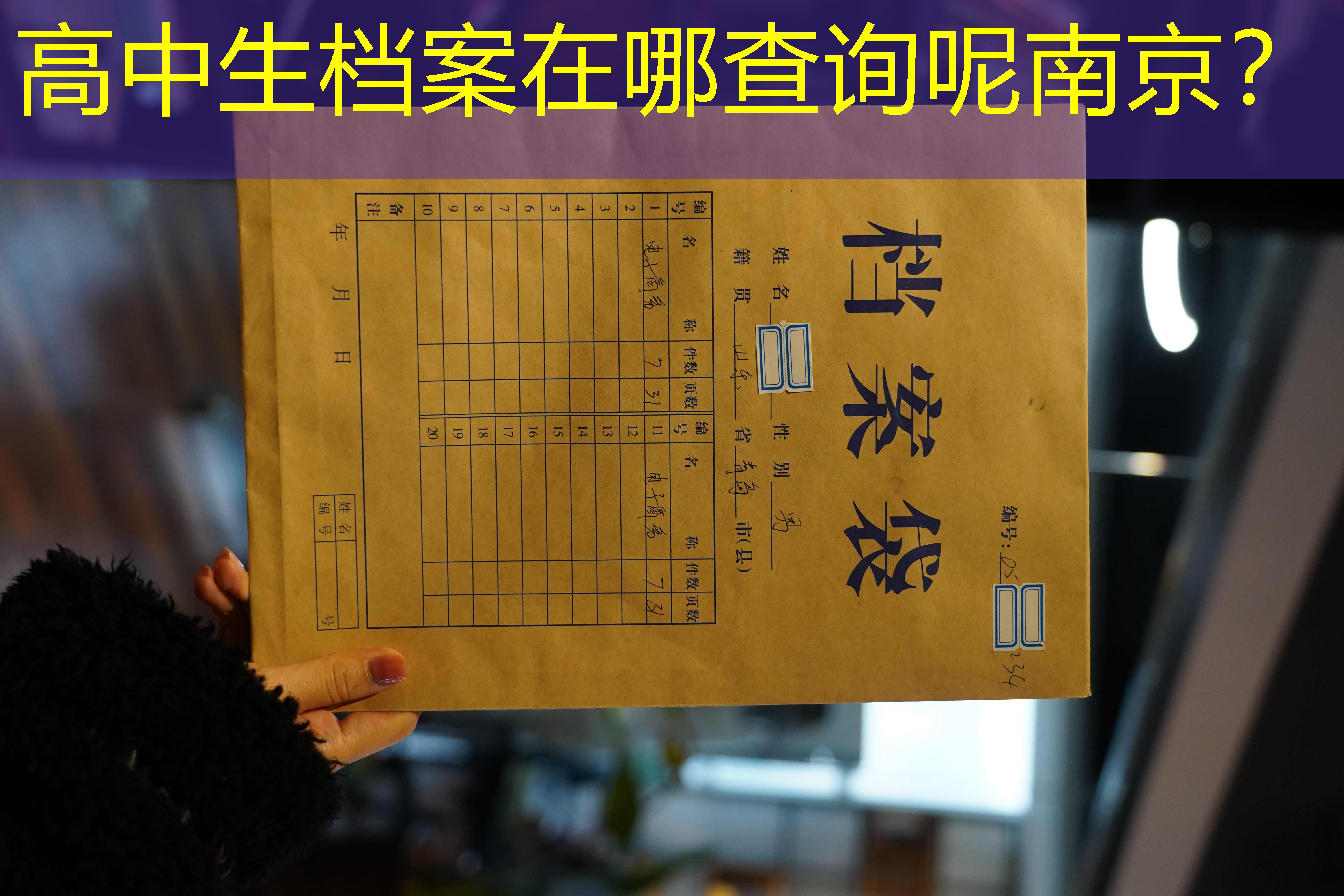 档案查询