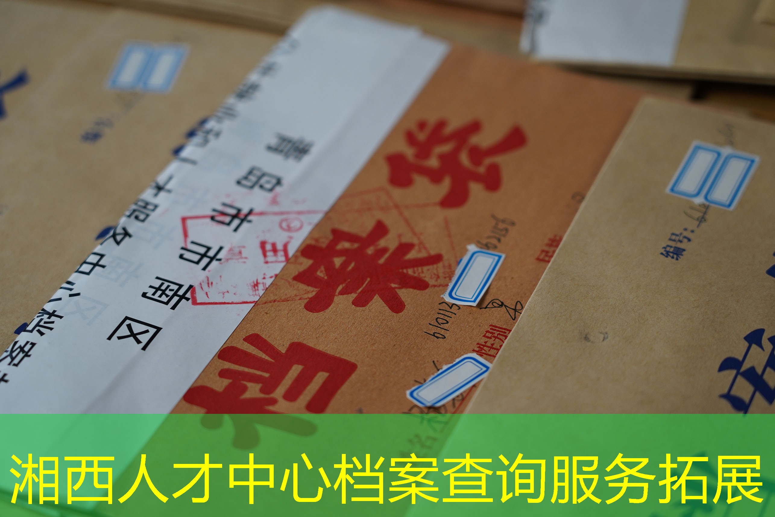 档案查询