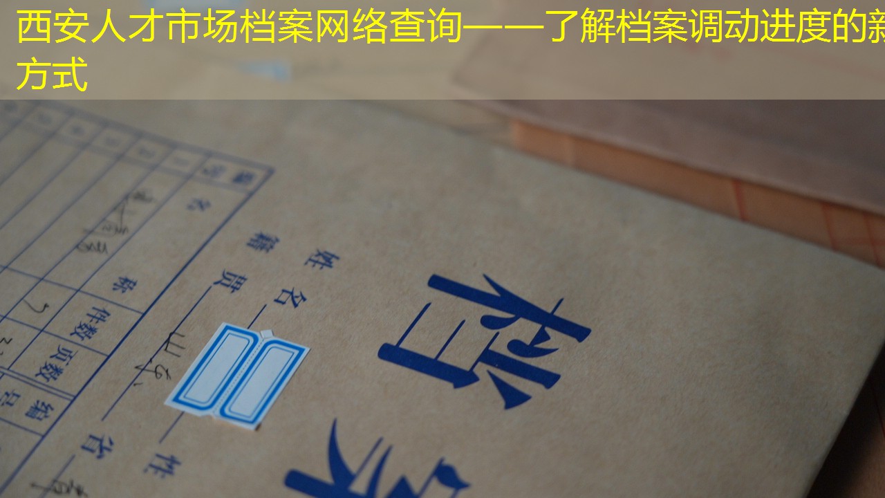 档案查询