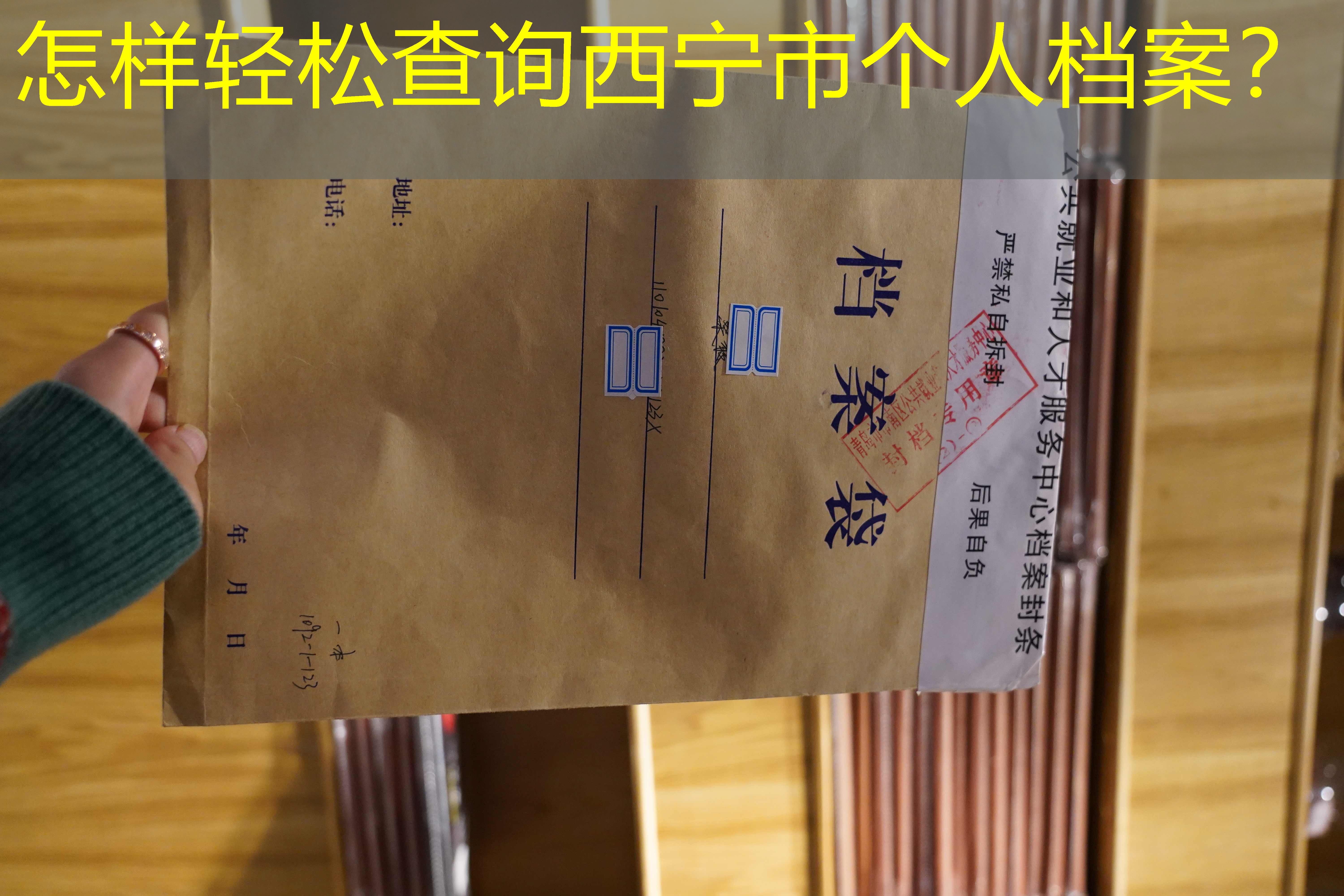 档案查询