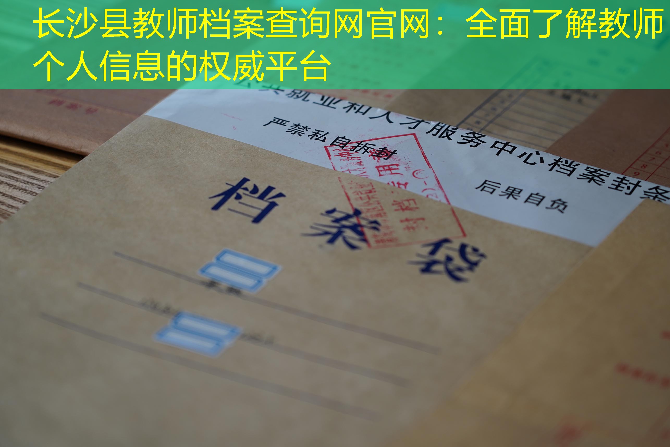 档案查询