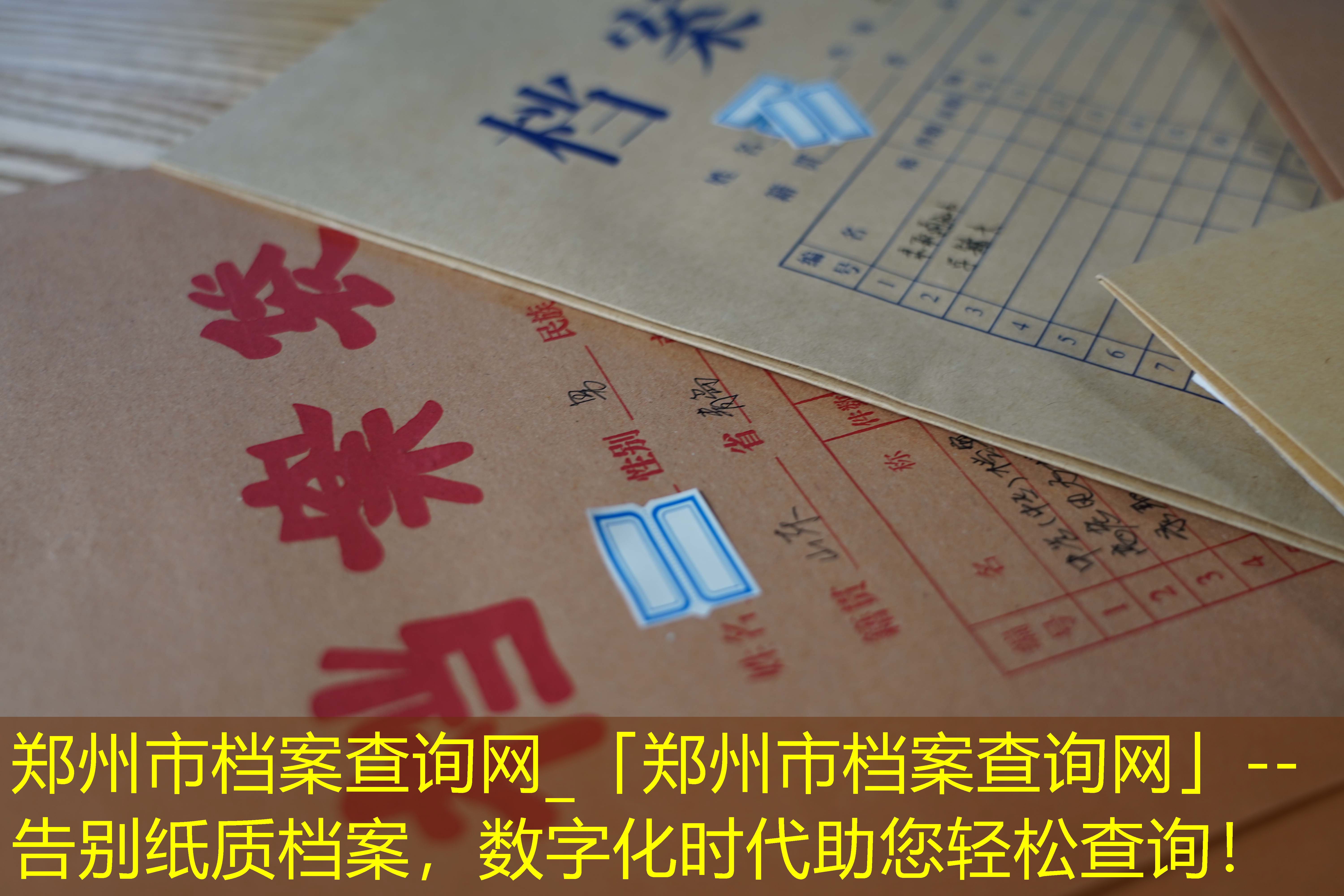 档案查询