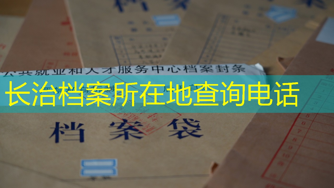 档案查询