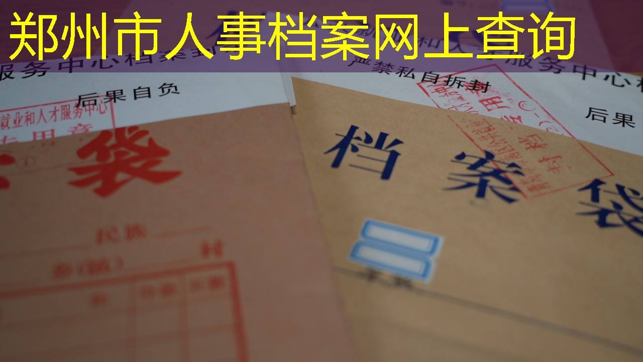 档案查询