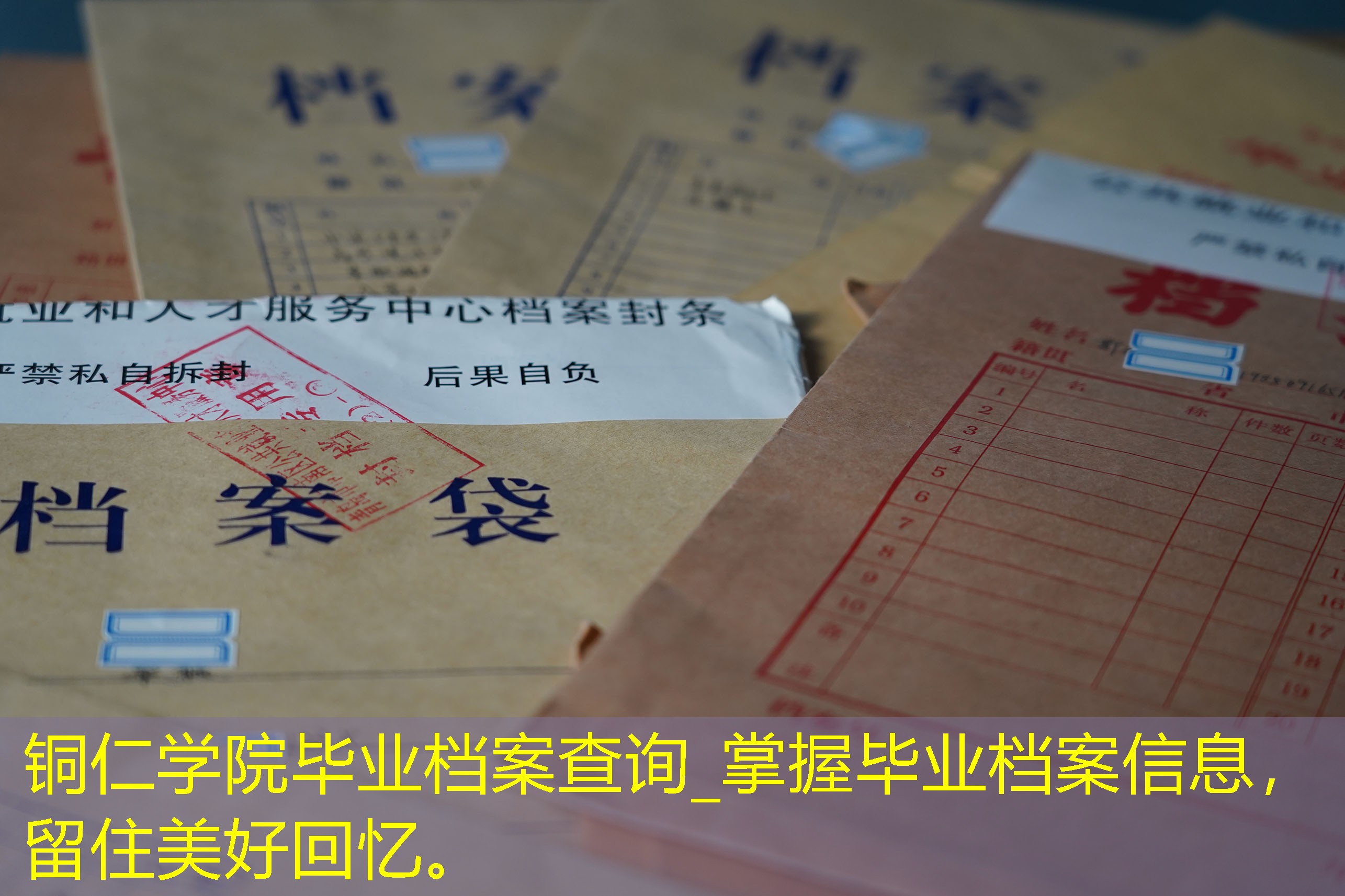 档案查询