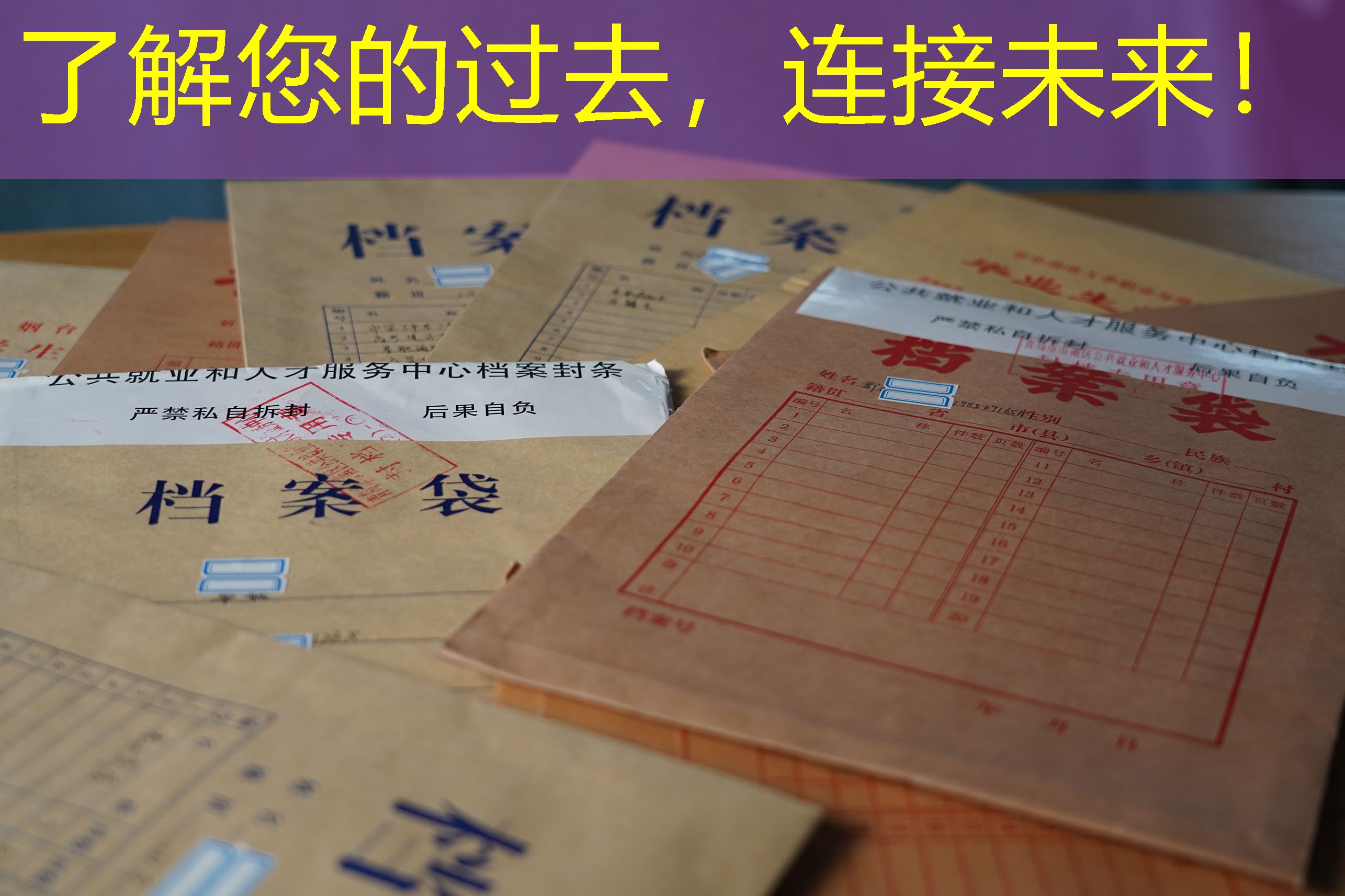 档案查询