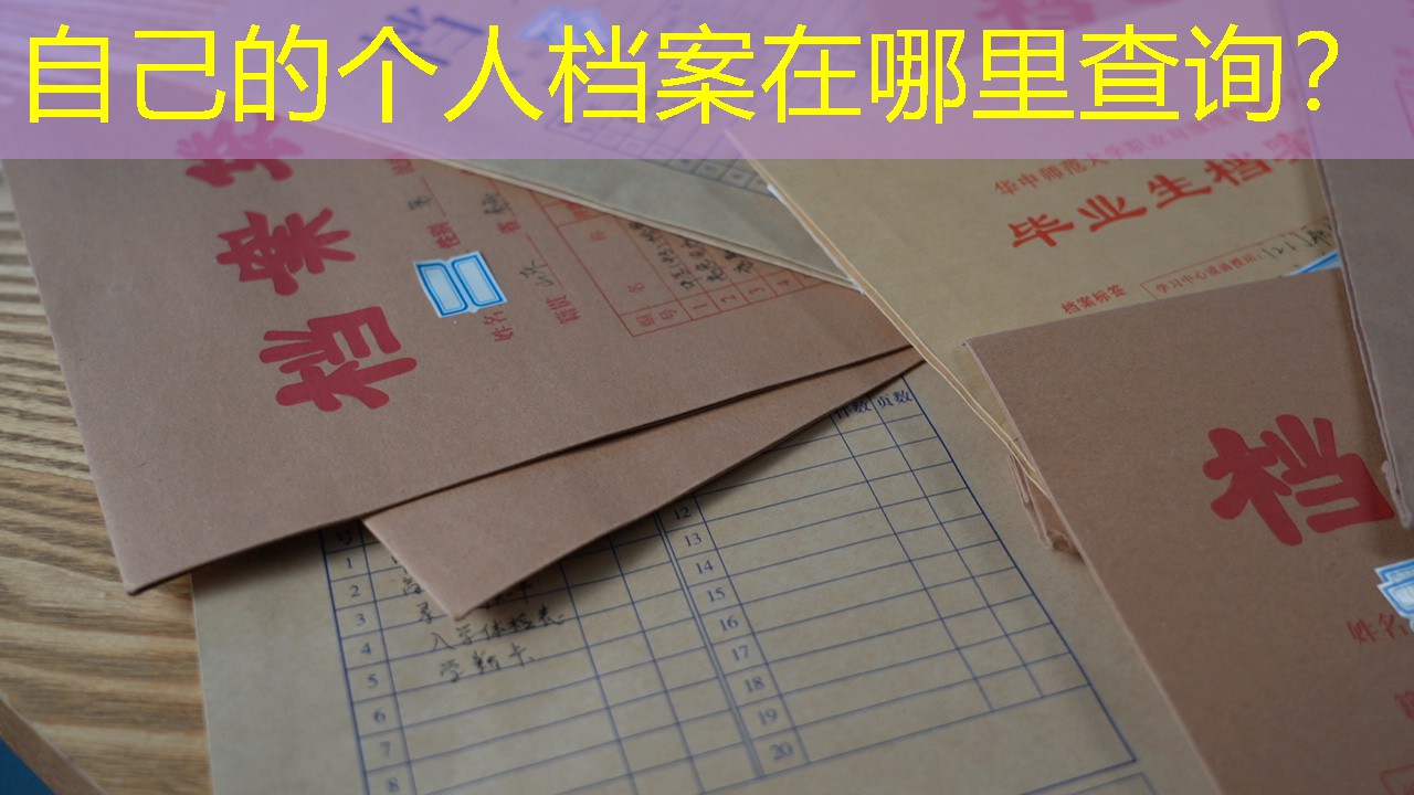 档案查询