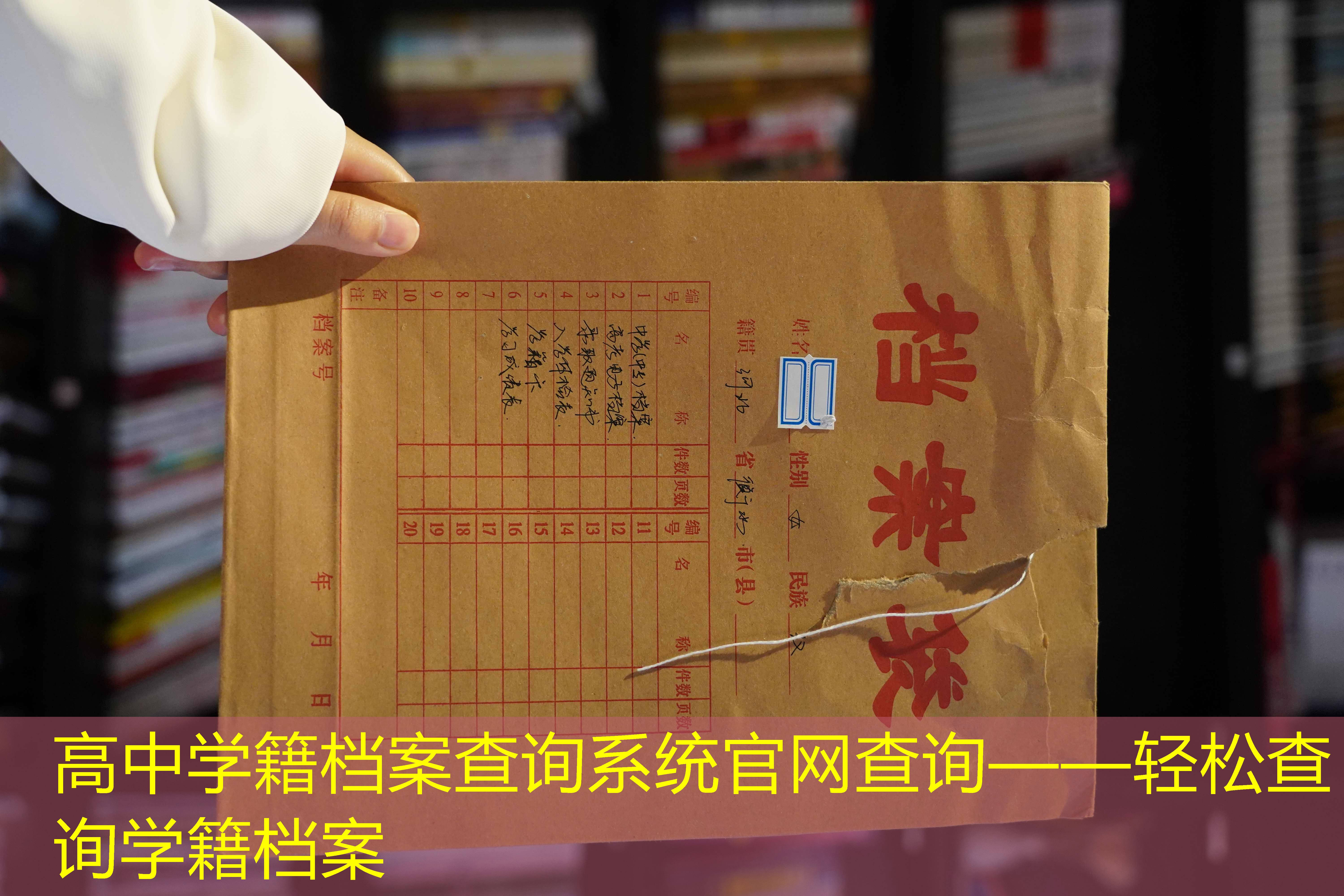 档案查询