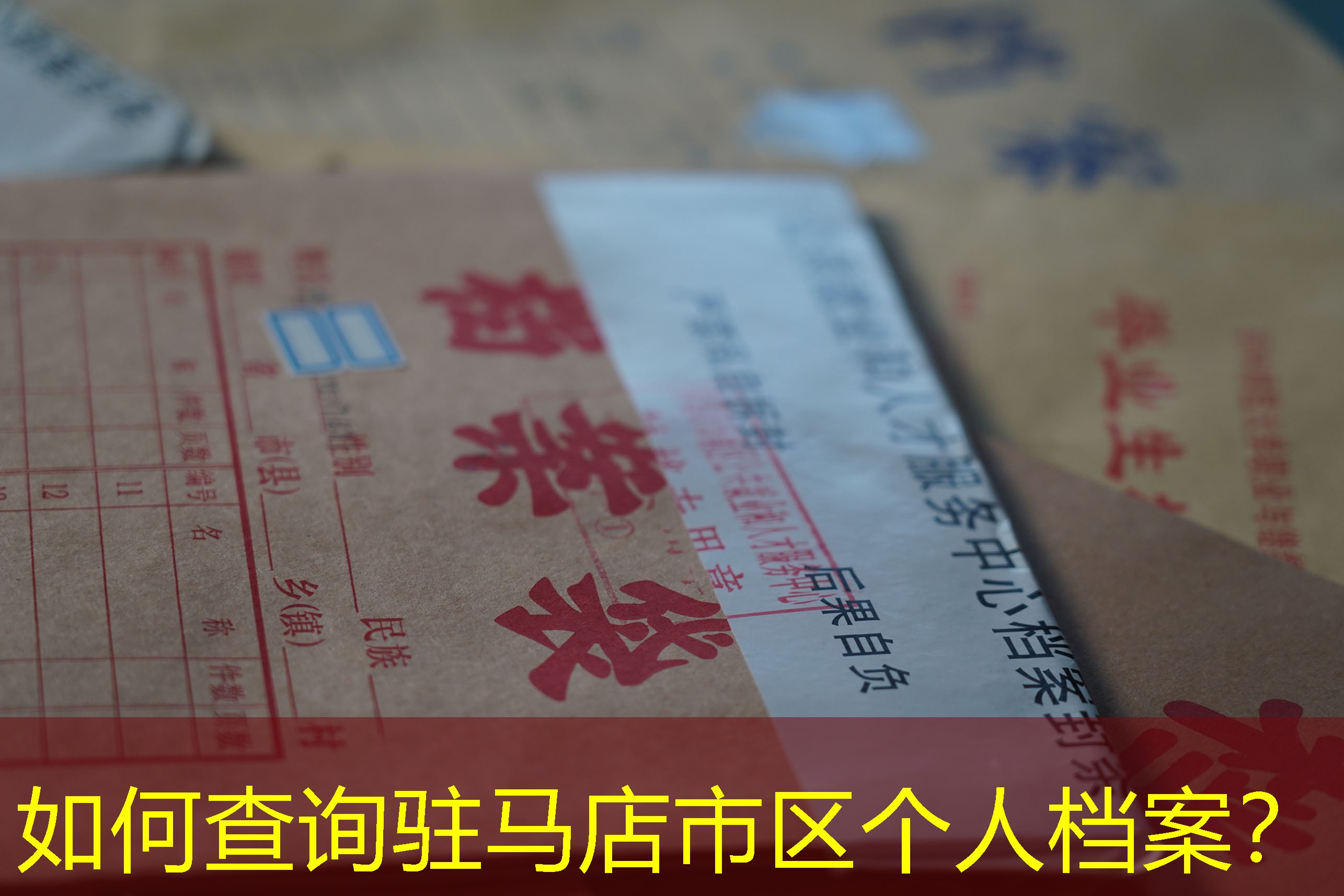 档案查询