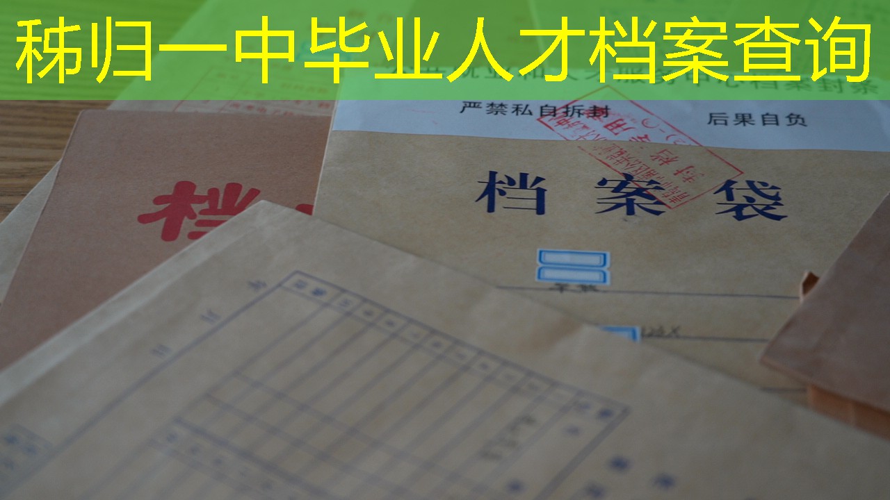 档案查询
