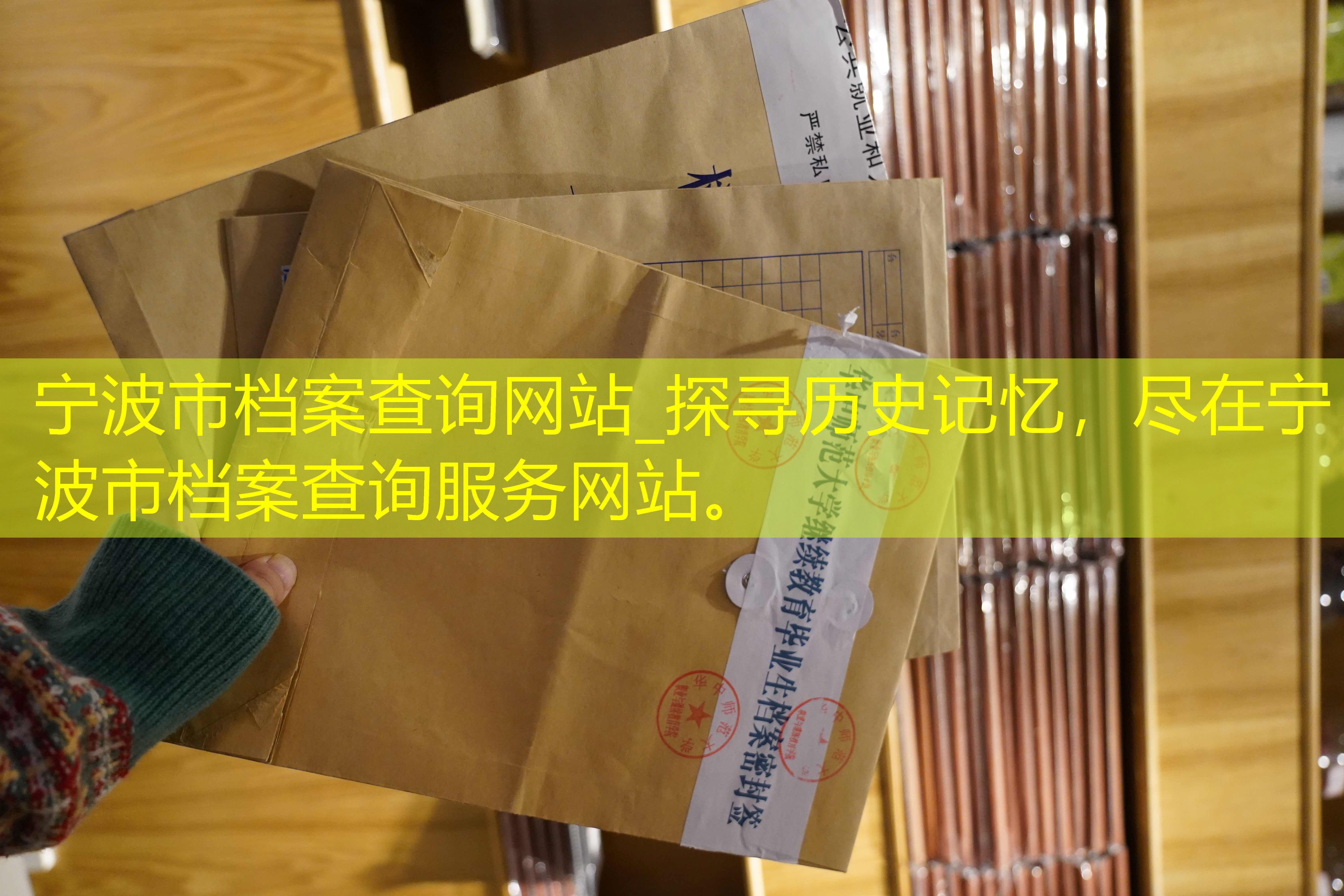 档案查询
