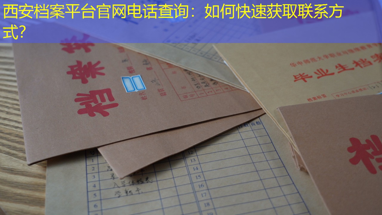 档案查询