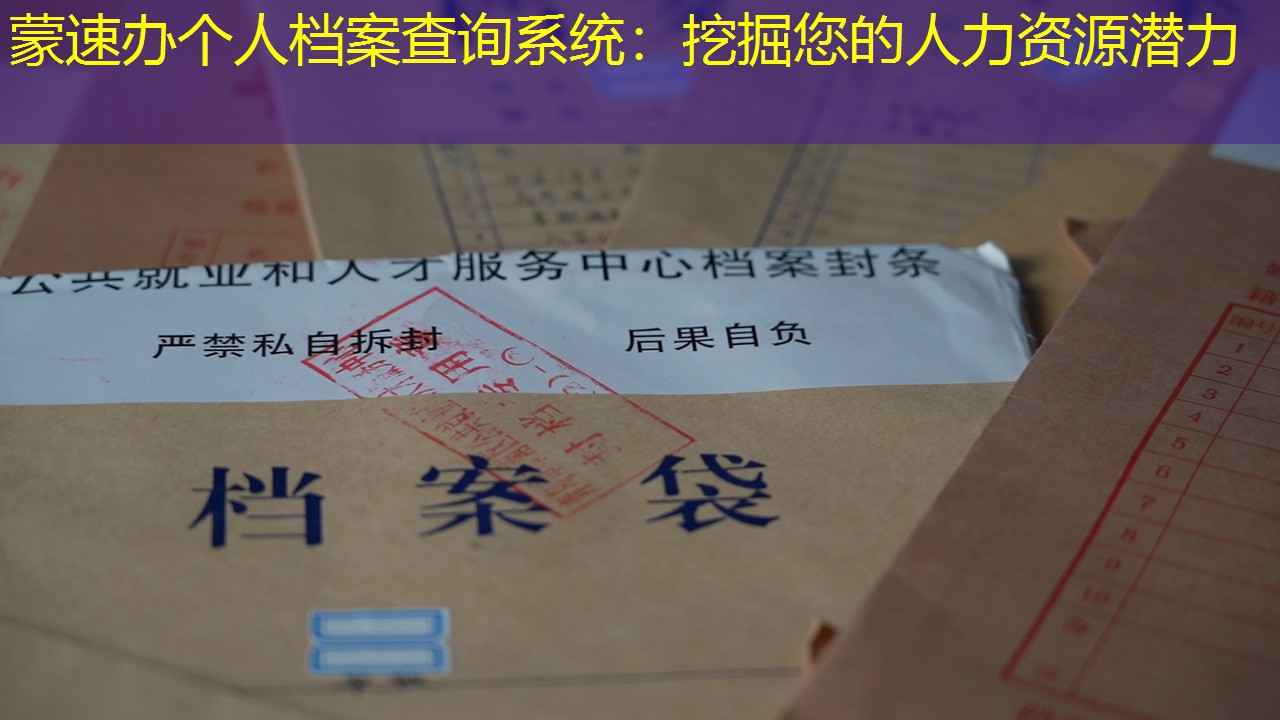 档案查询