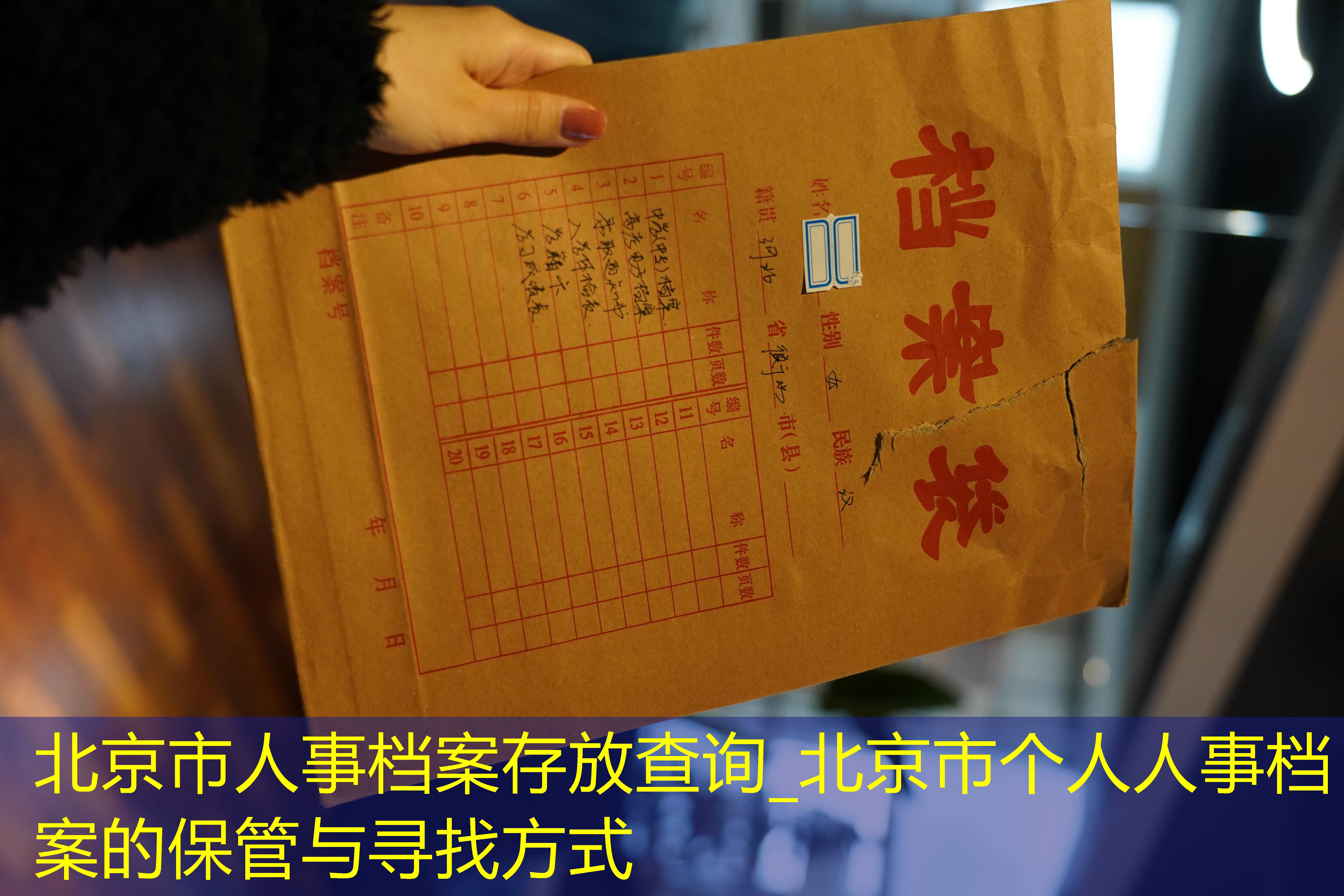 档案查询