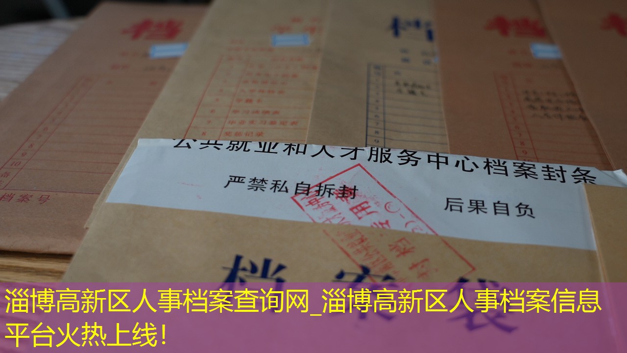 档案查询