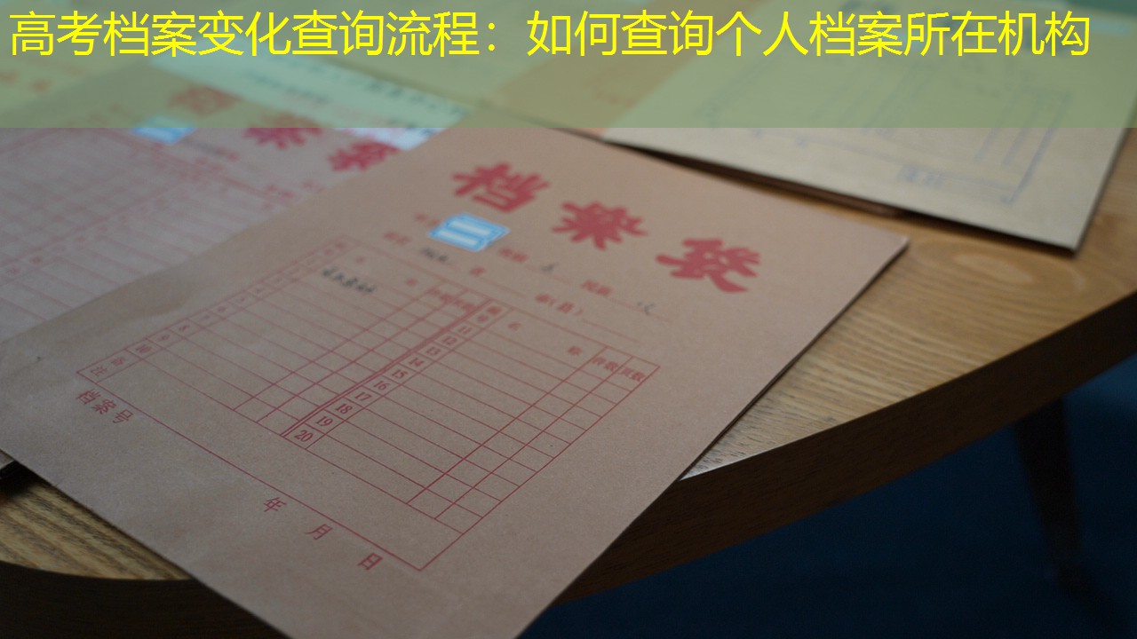 档案查询