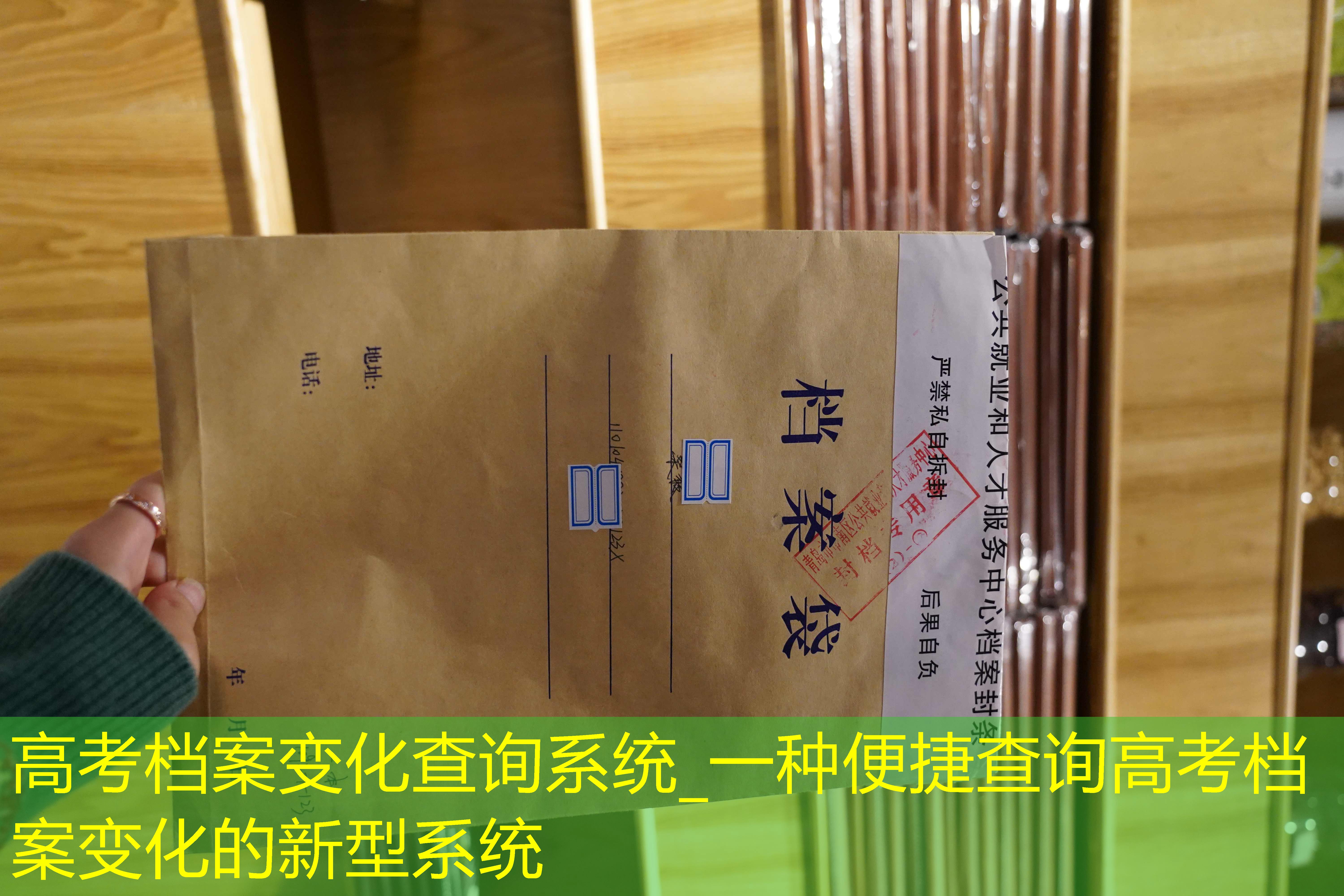 档案查询
