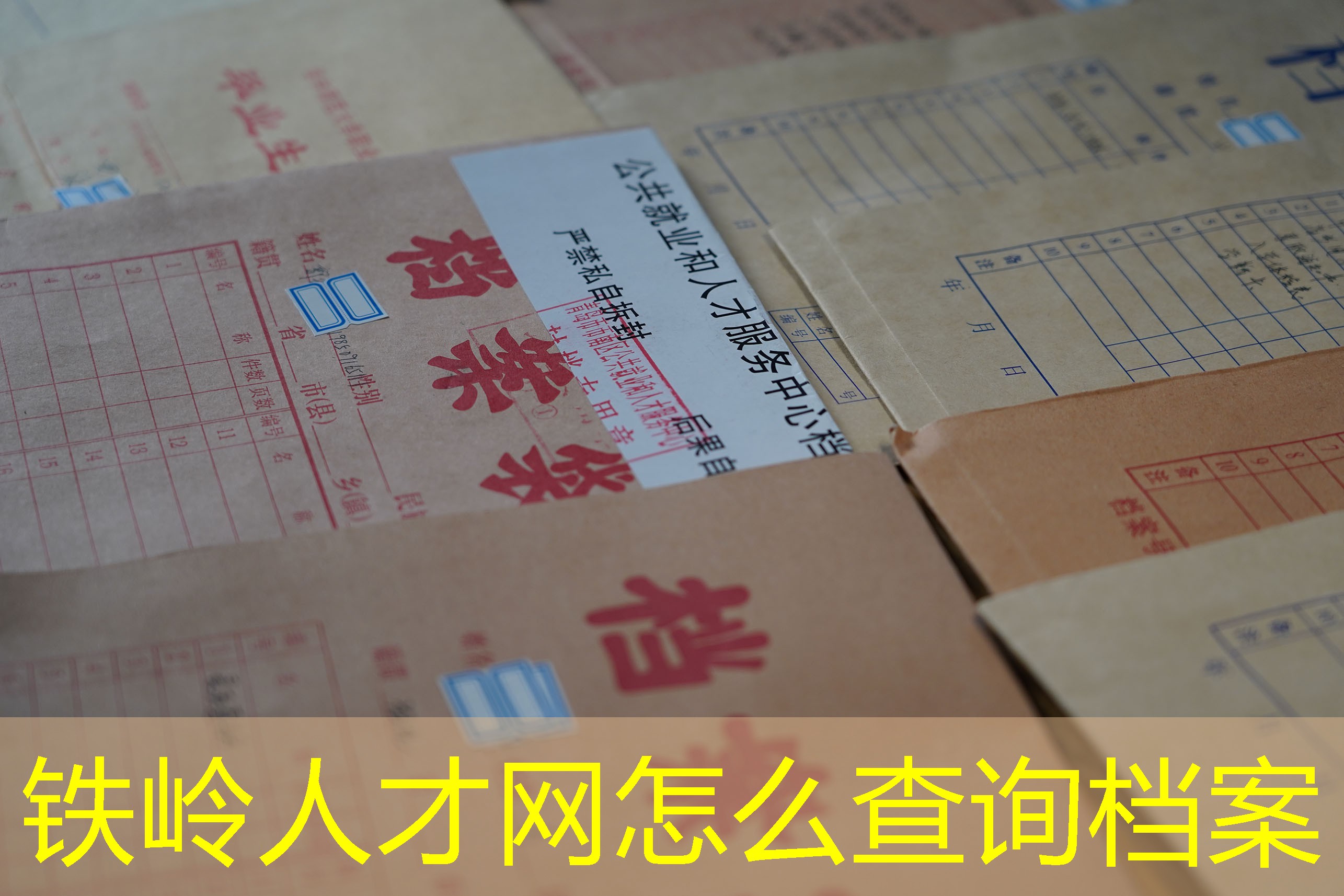档案查询