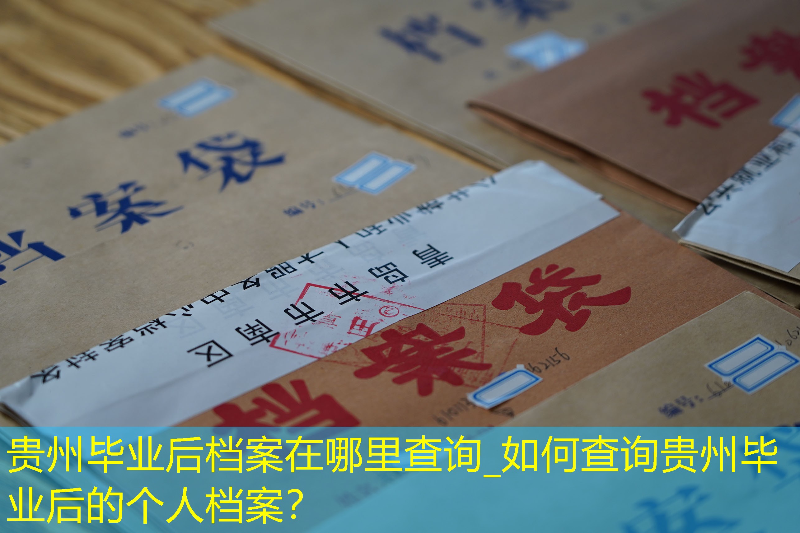 档案查询