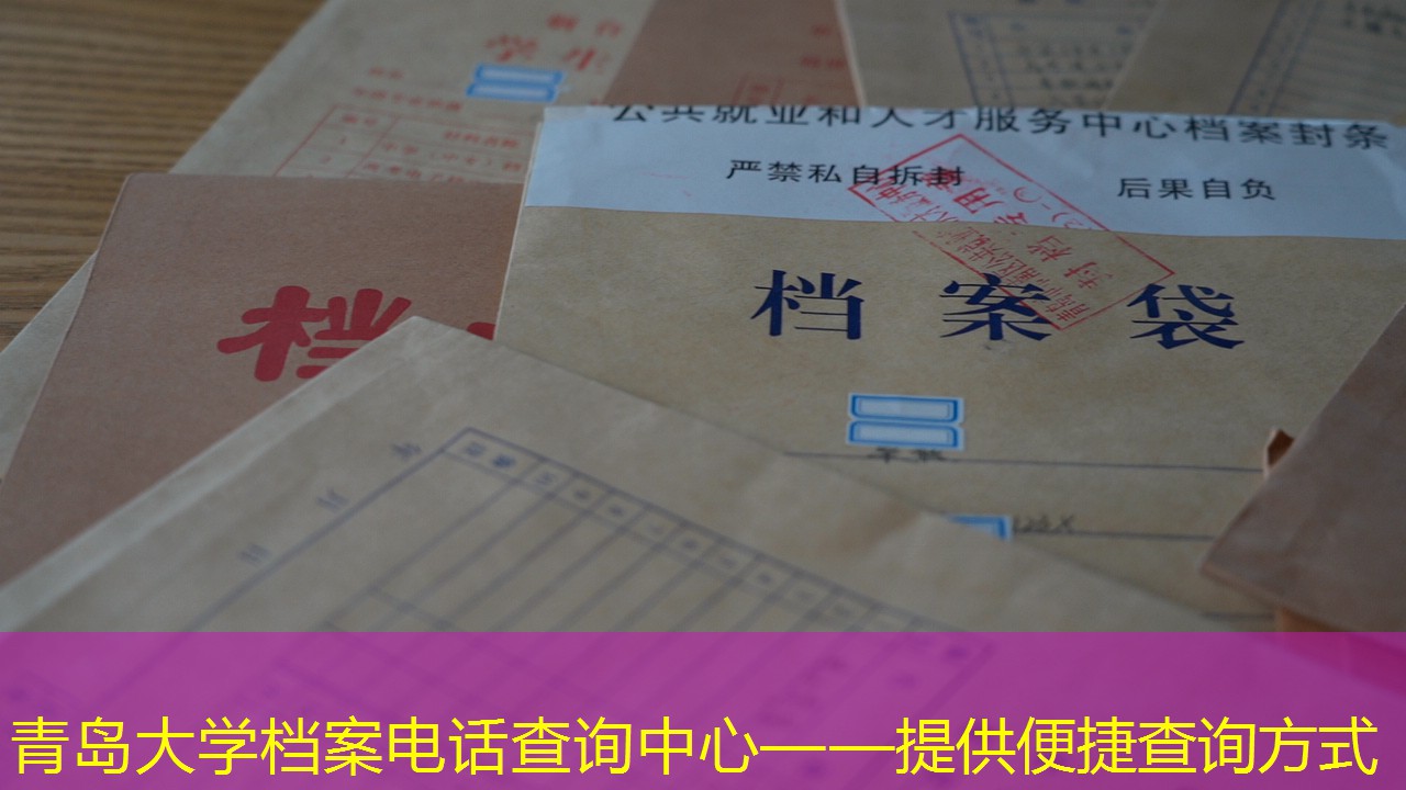 档案查询