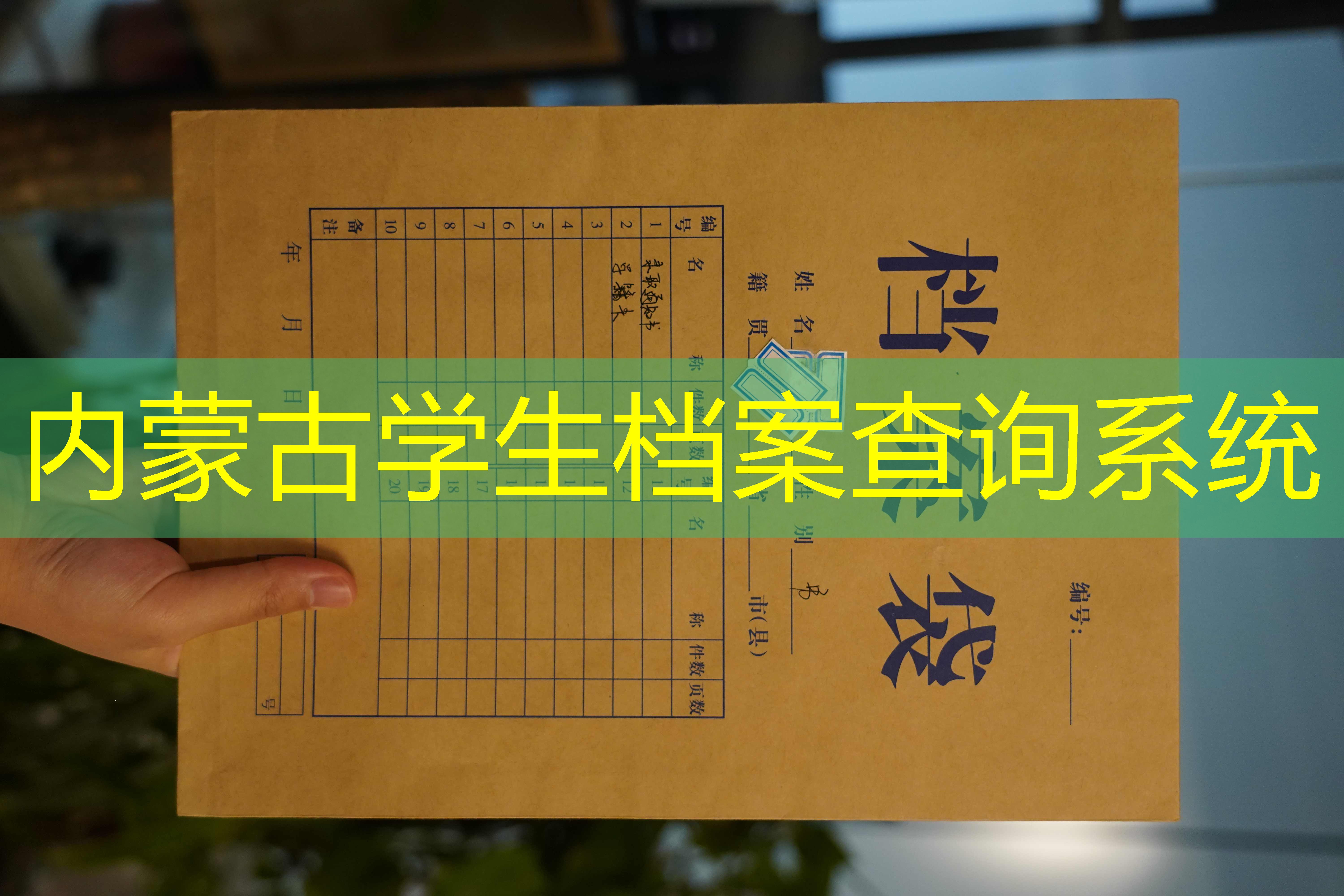 档案查询