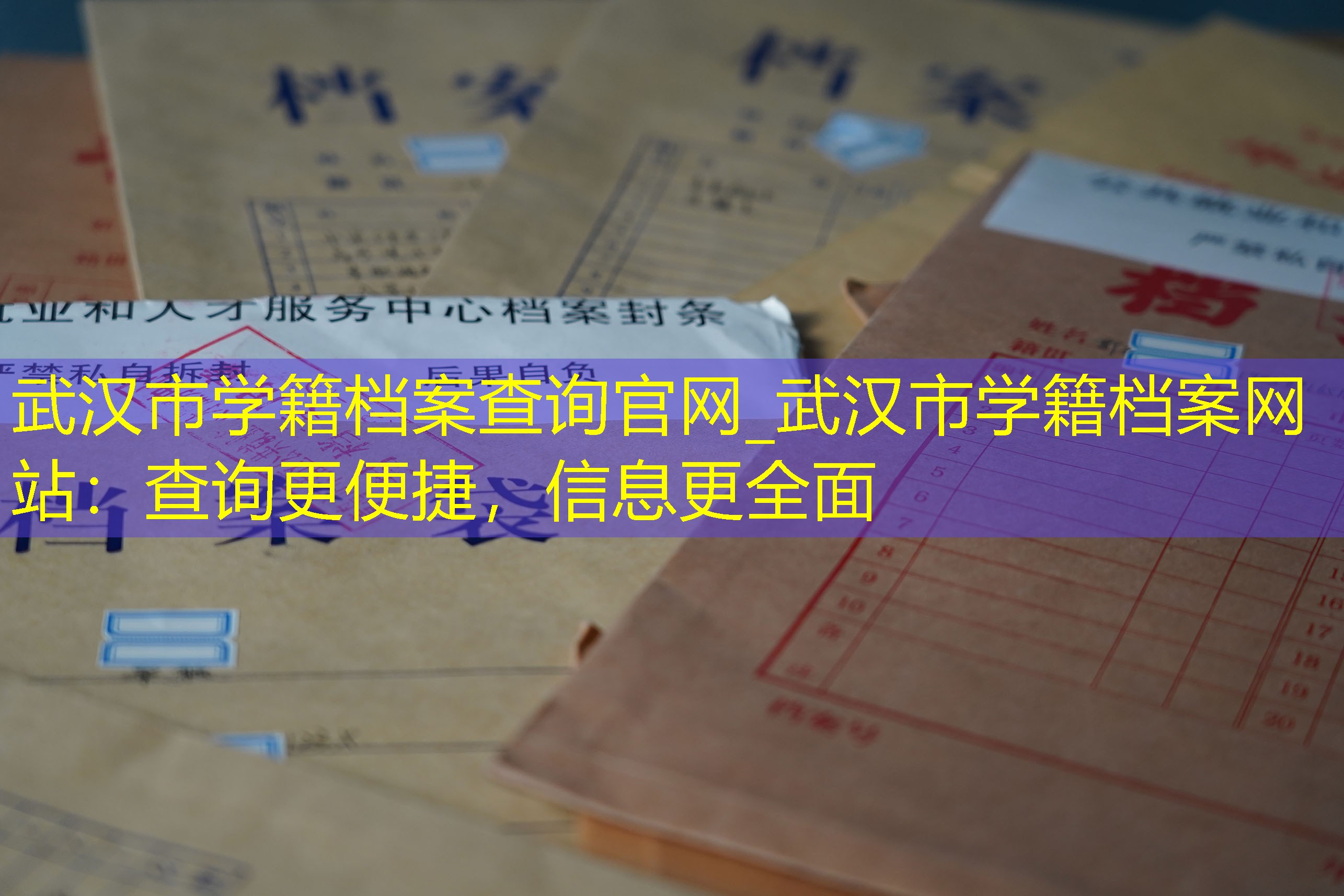 档案查询