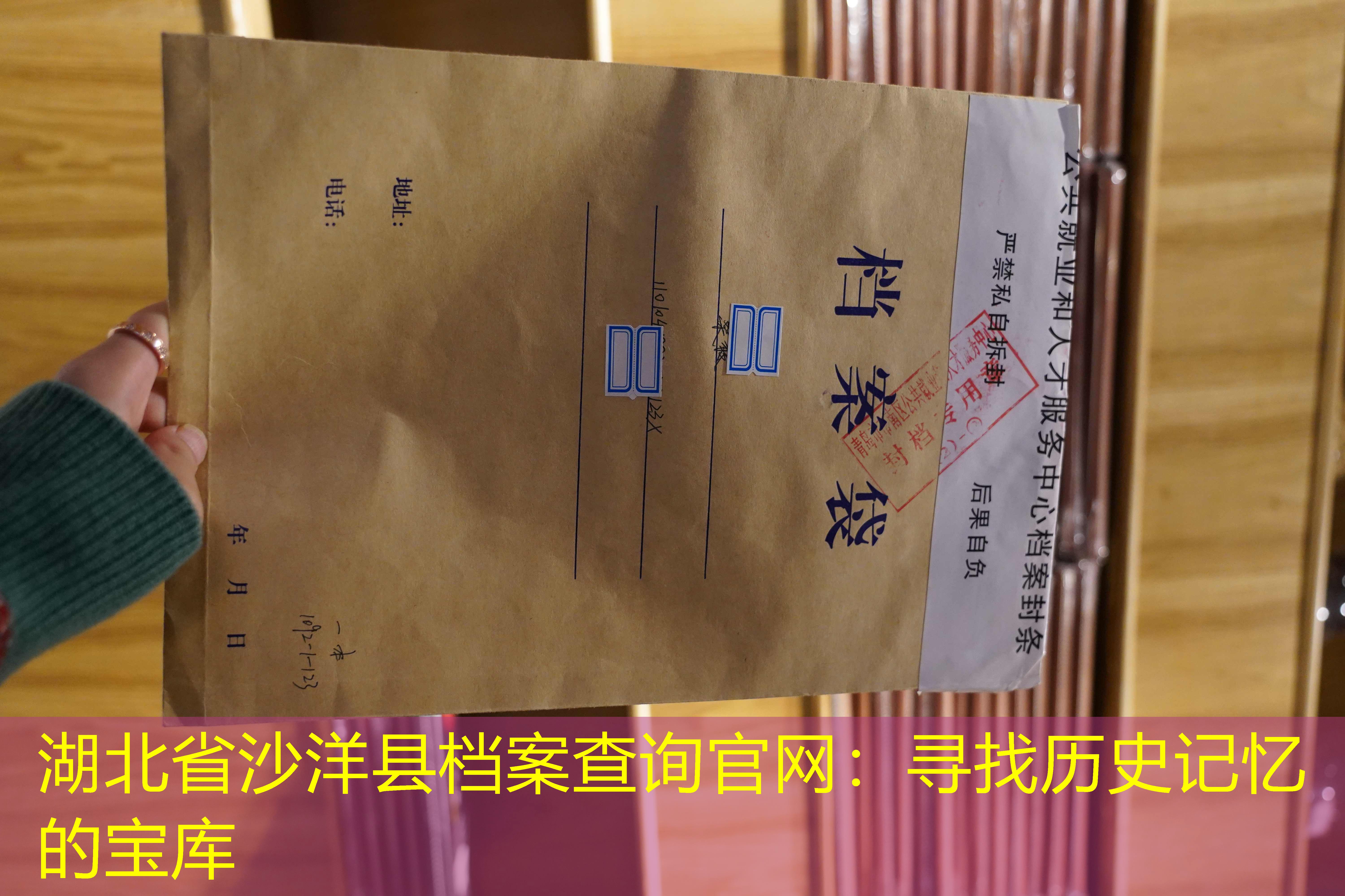 档案查询