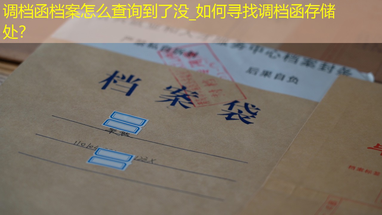 档案查询