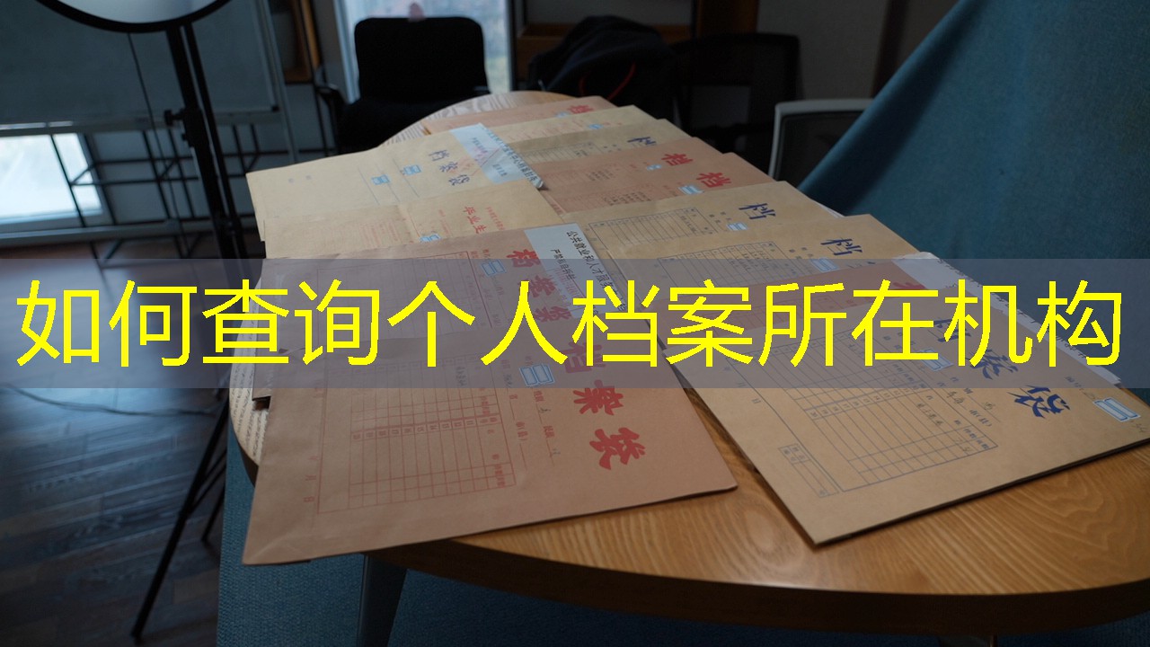 档案查询