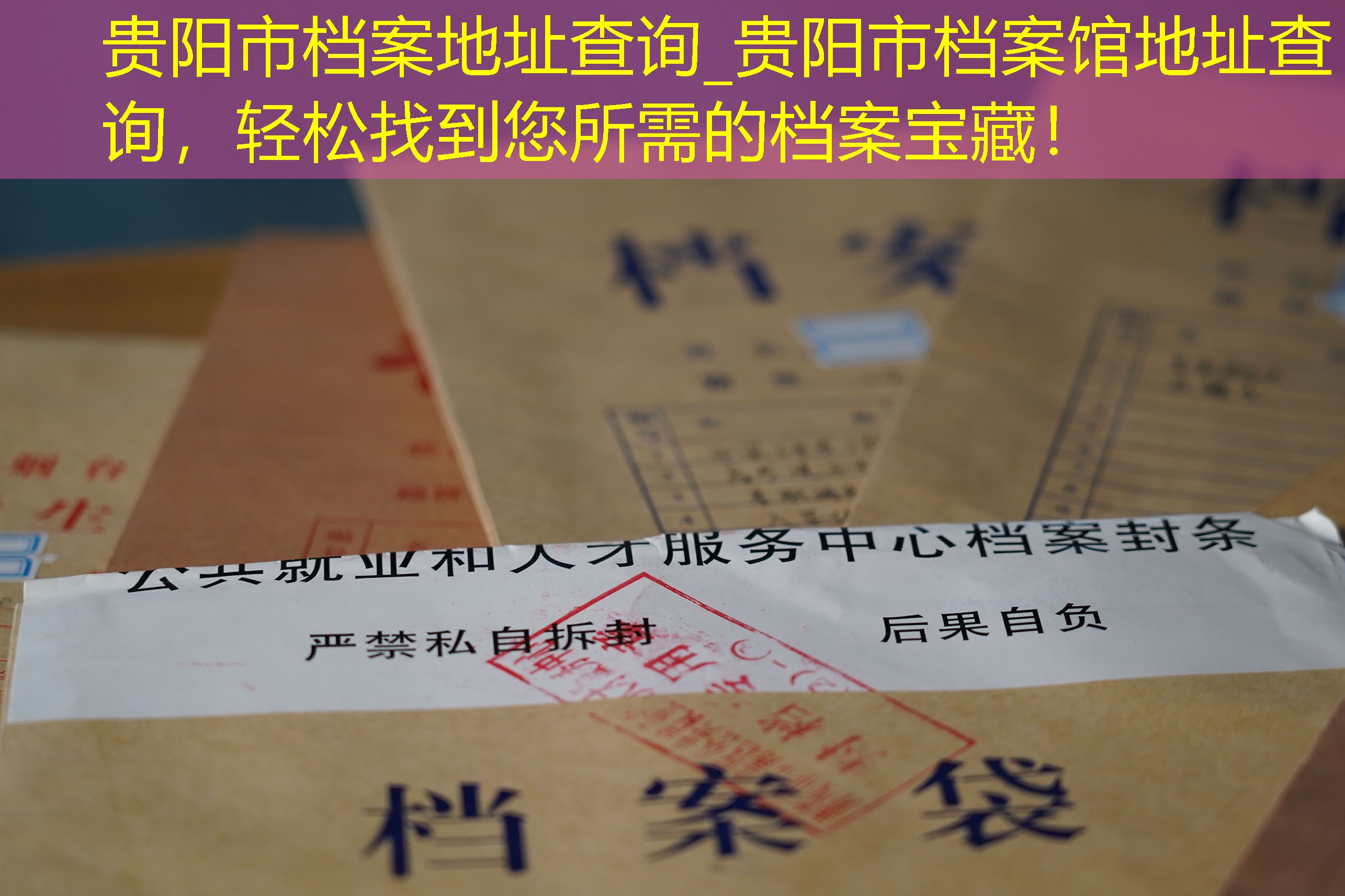 档案查询