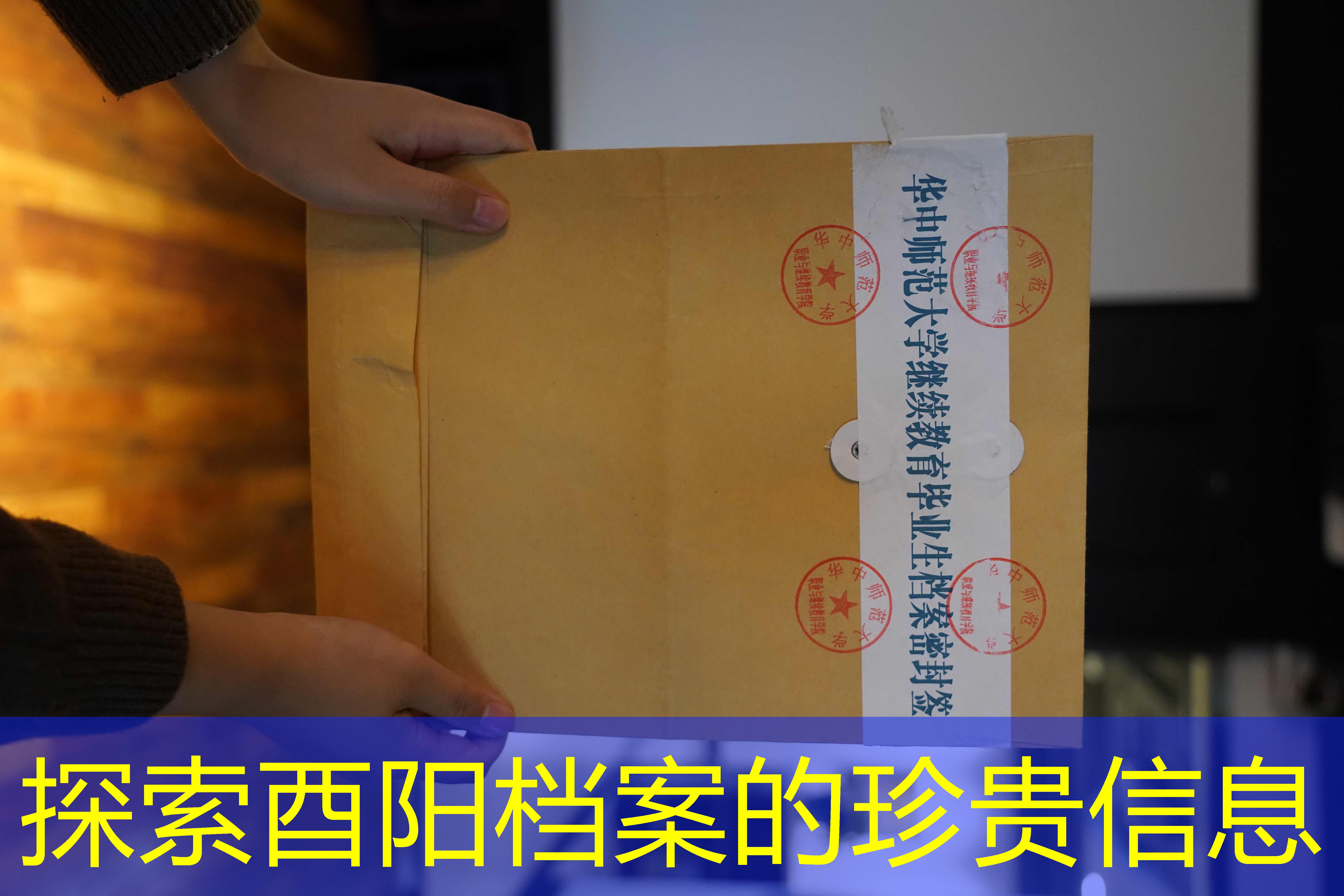 档案查询