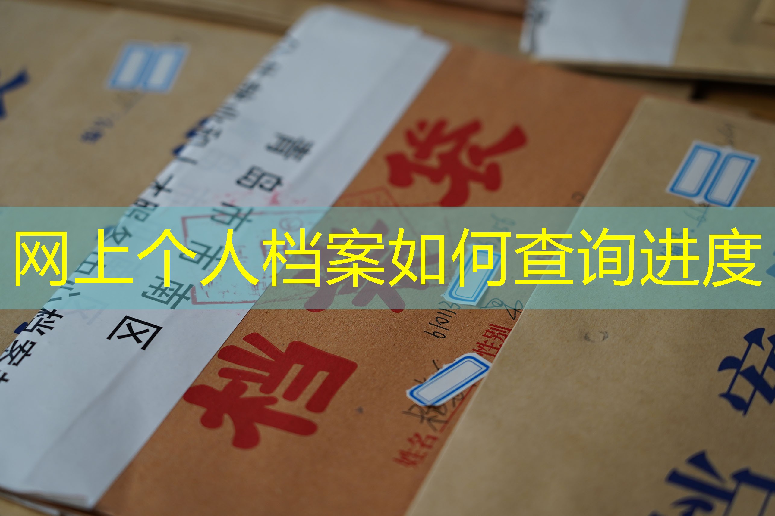 档案查询
