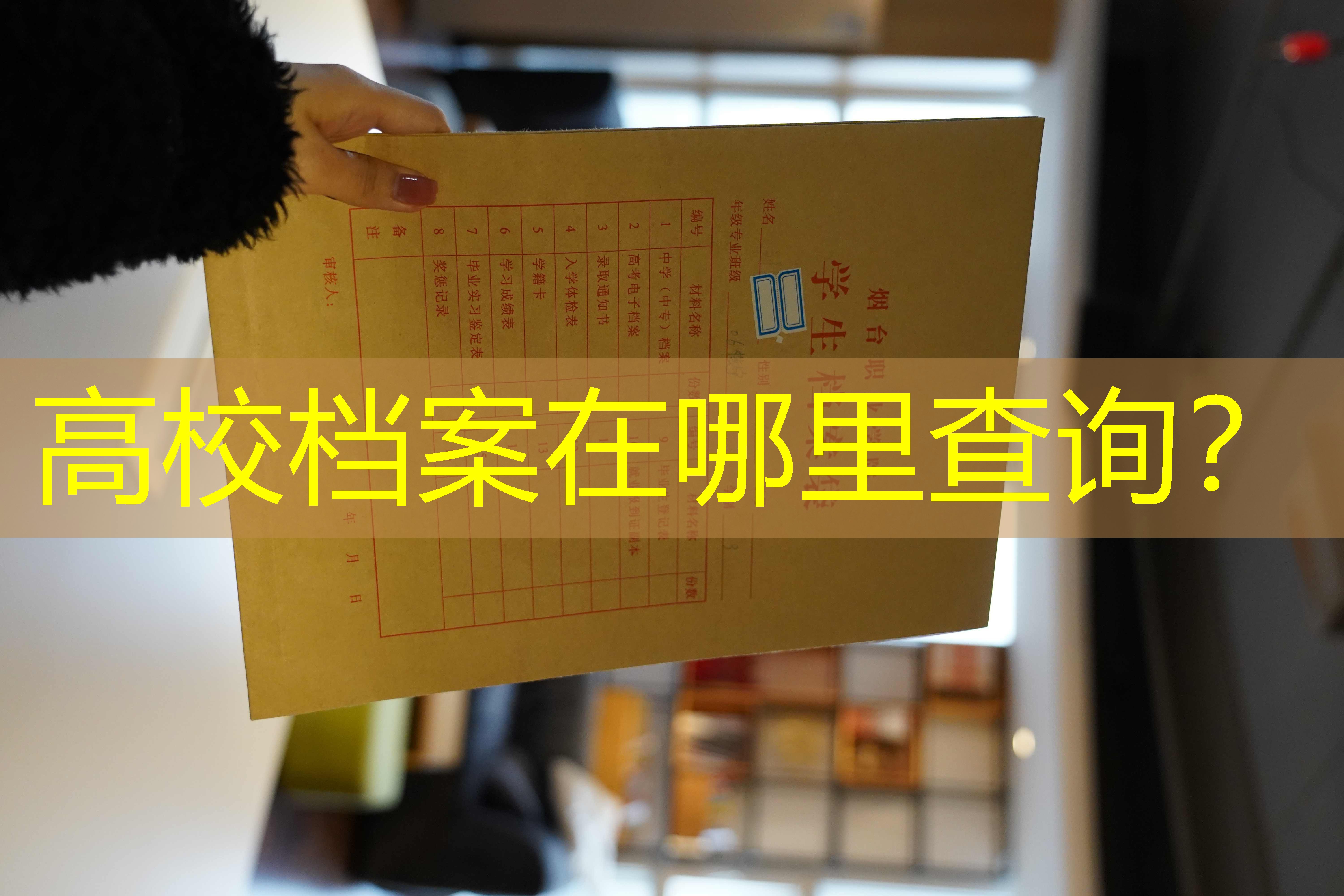 档案查询
