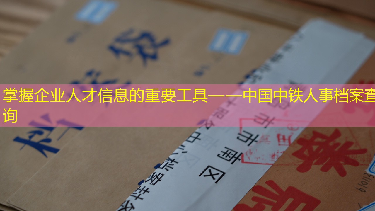 档案查询