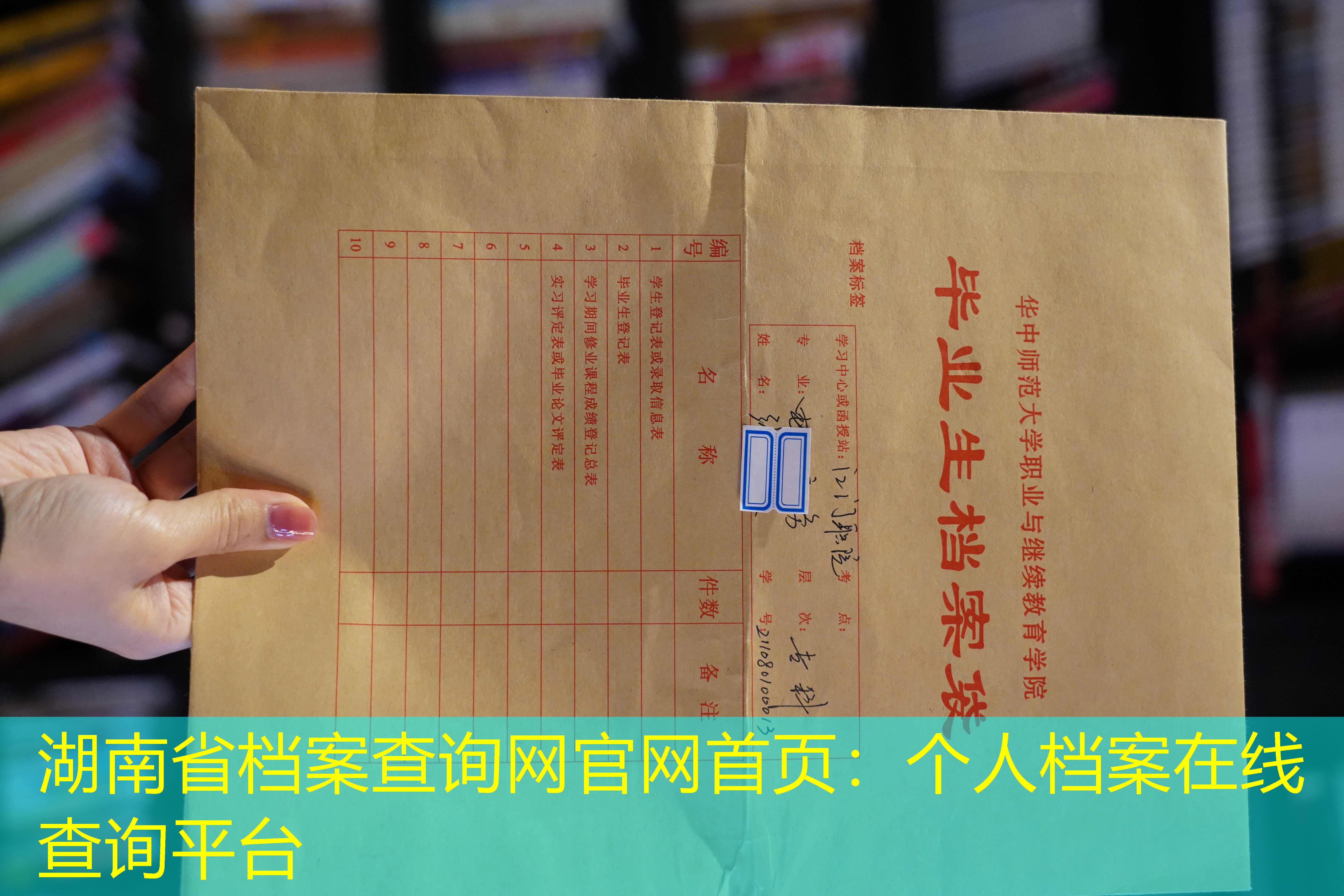 档案查询