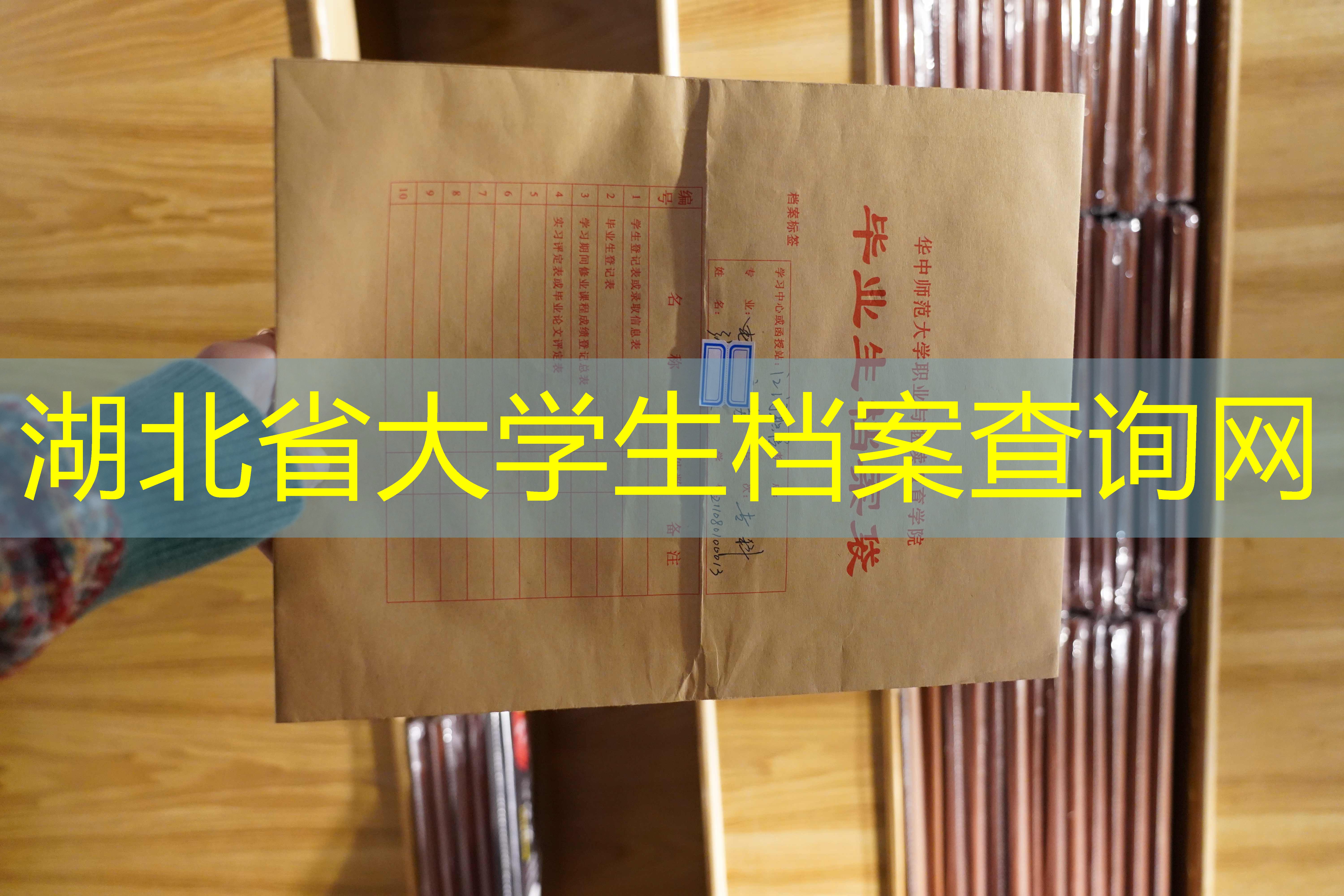 档案查询